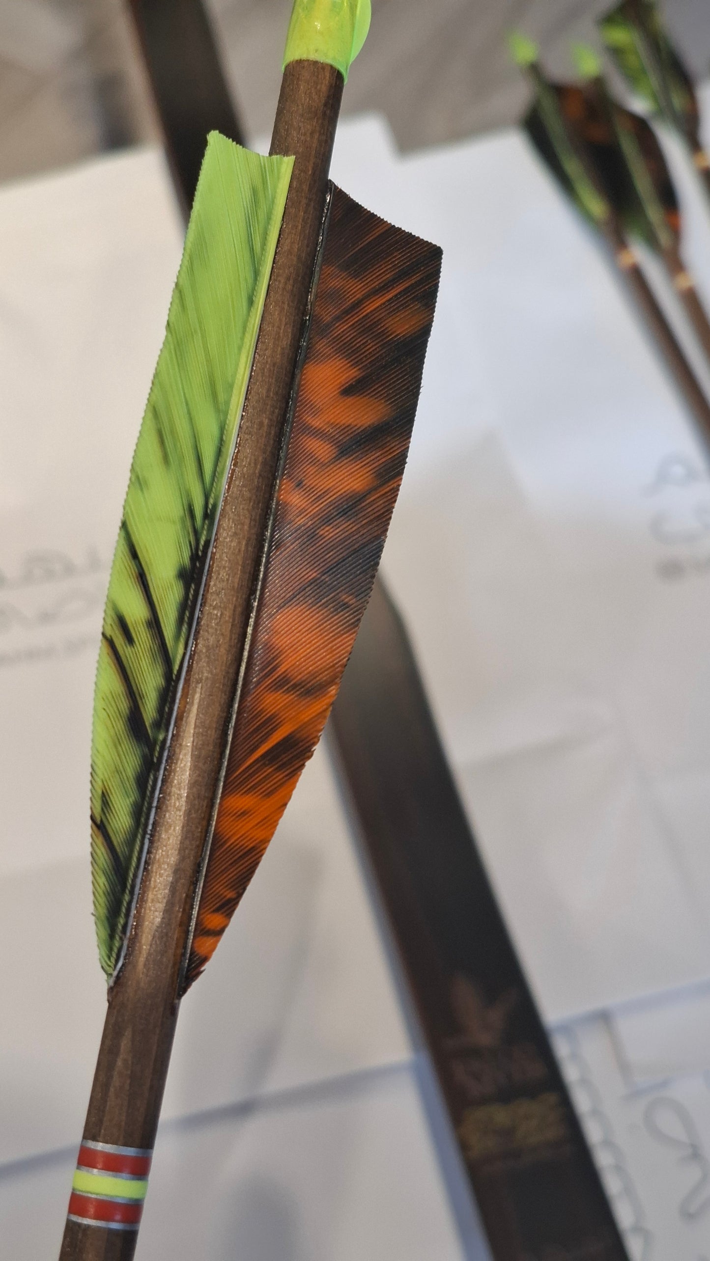 Falco Saga Longbow package