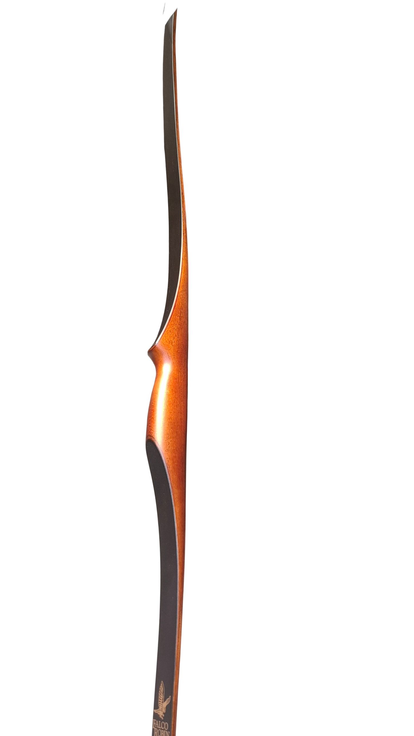 Falco Robin - Palisander stain