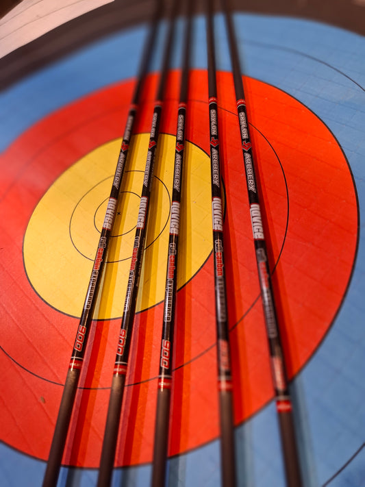 ARROWS CARBON NOVICE ID4.2 900 FEATHER أسهم نوفس ريش