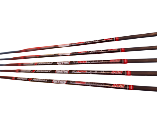 ARROWS CARBON NOVICE ID4.2 800 FEATHER أسهم نوفس ريش