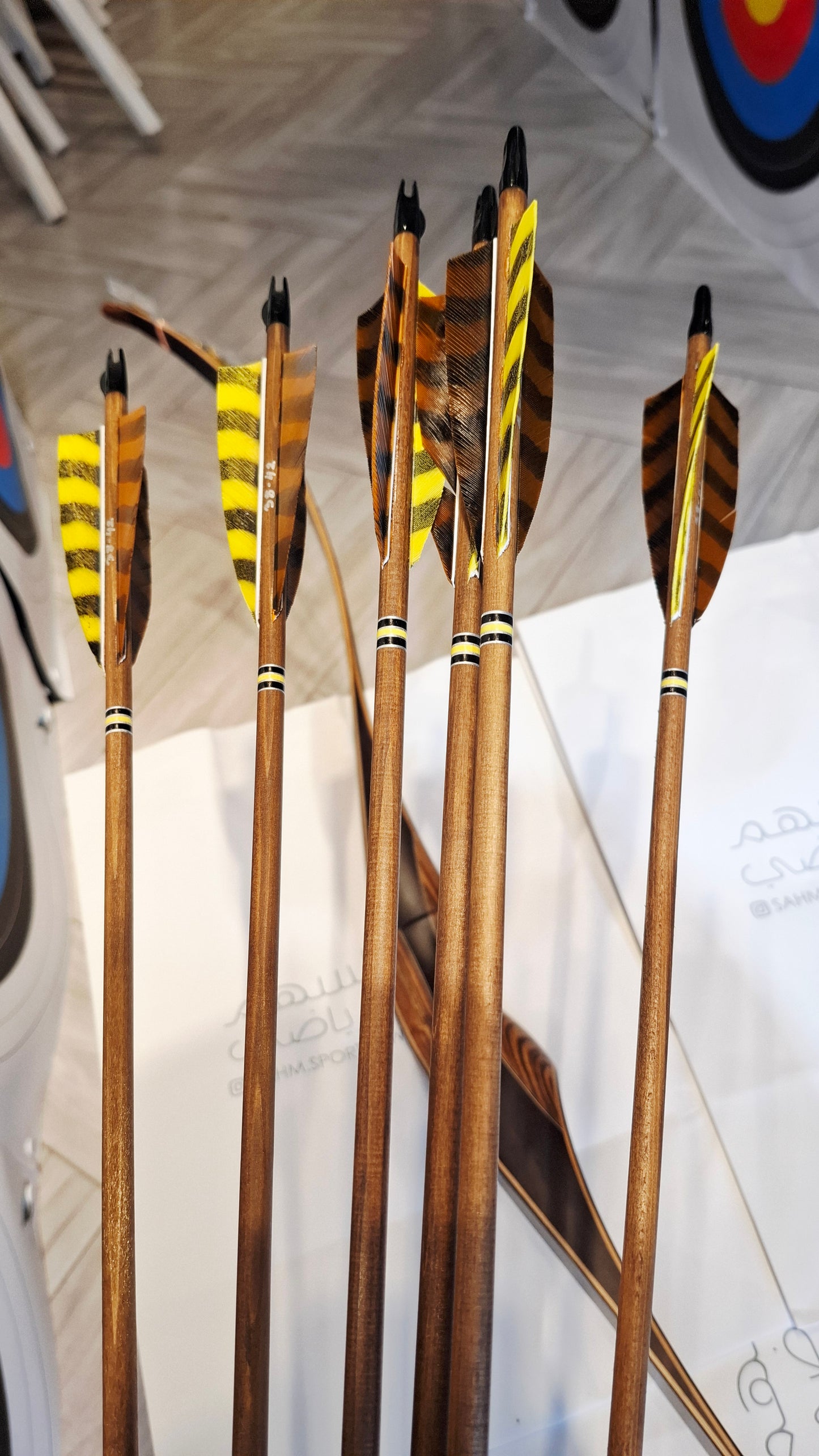 Falco Myth Longbow package (Wenge)