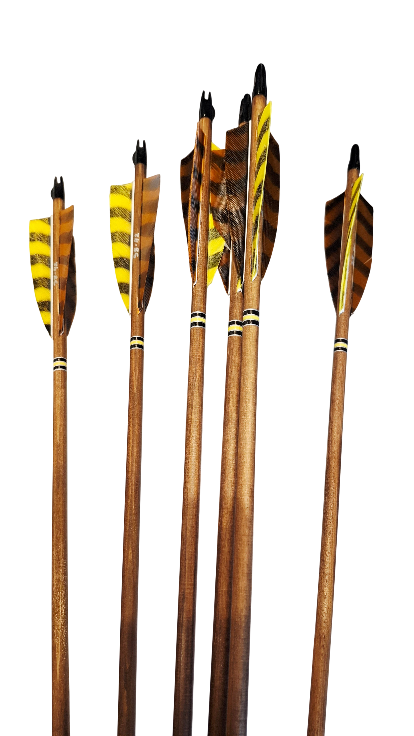 Falco Myth Longbow package (Wenge)
