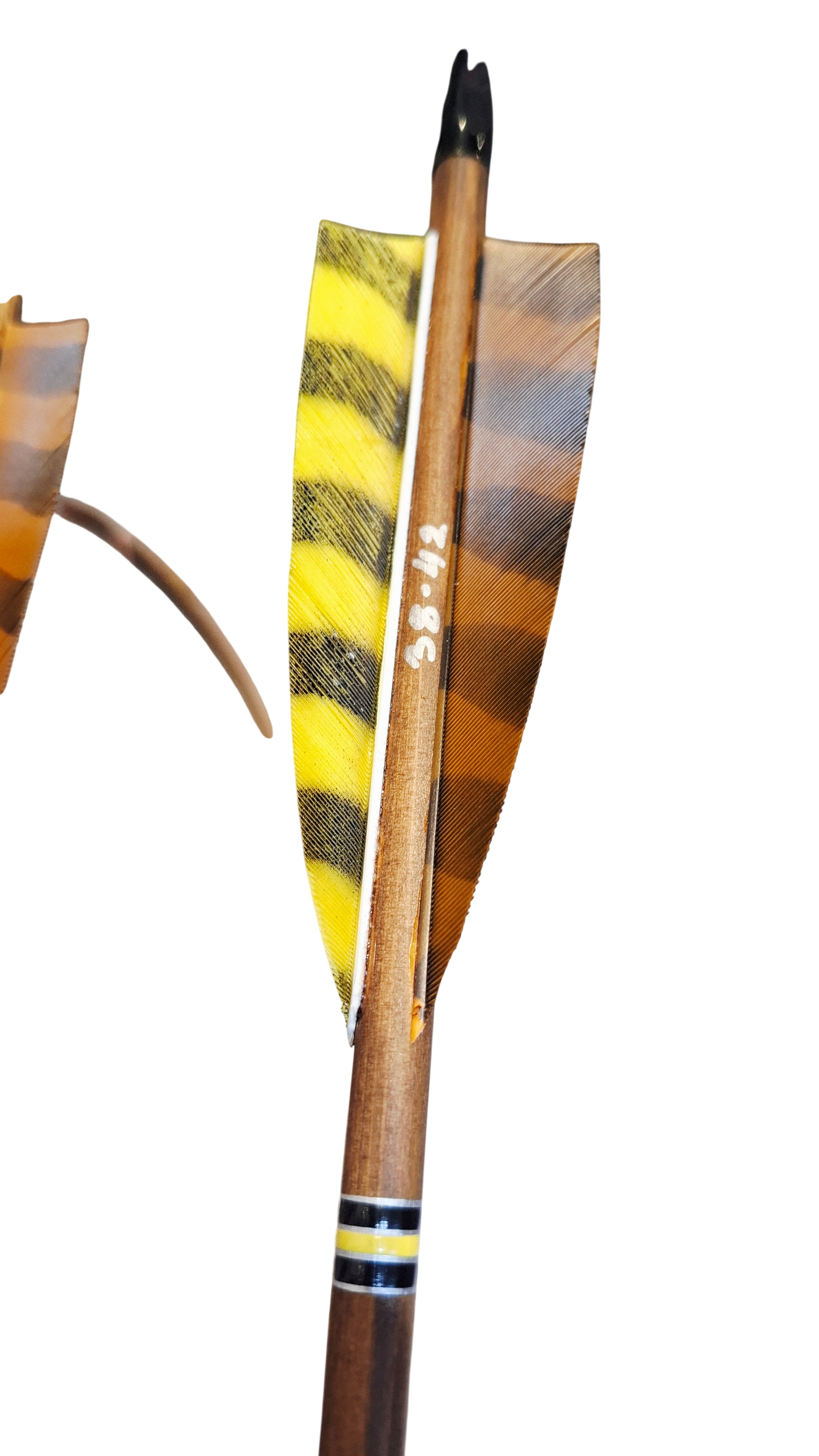 Falco Myth Longbow package (Wenge)