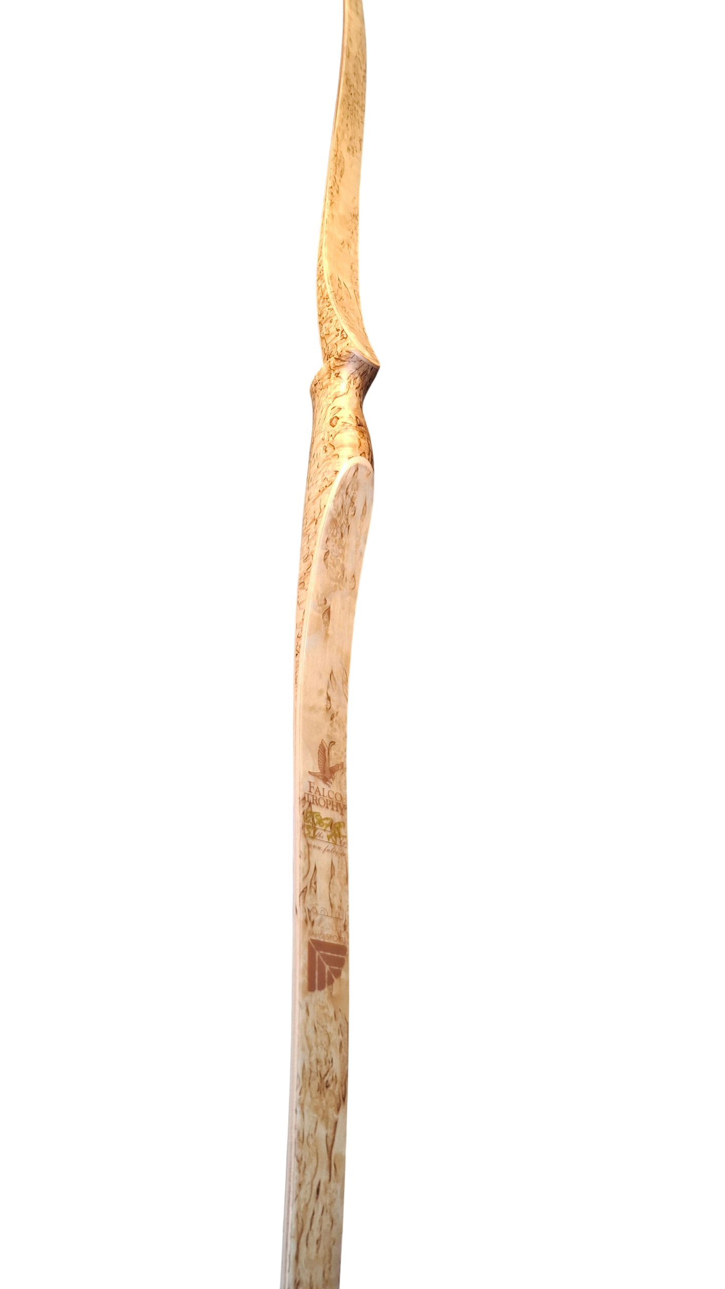 Falco Trophy Longbow (Curly Birch w/blue flame overlay)