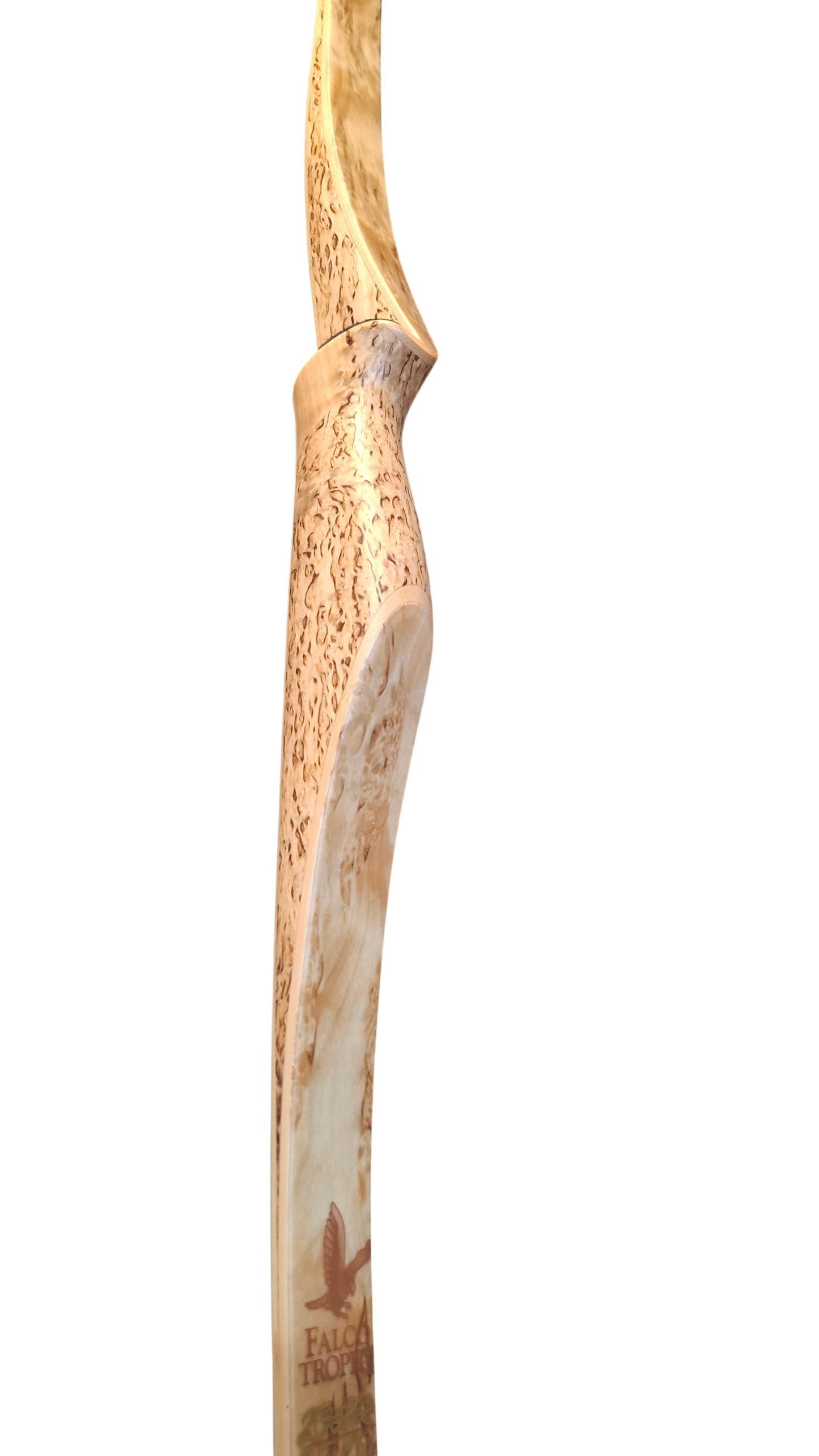 Falco Trophy Longbow (Curly Birch w/red flame overlay)
