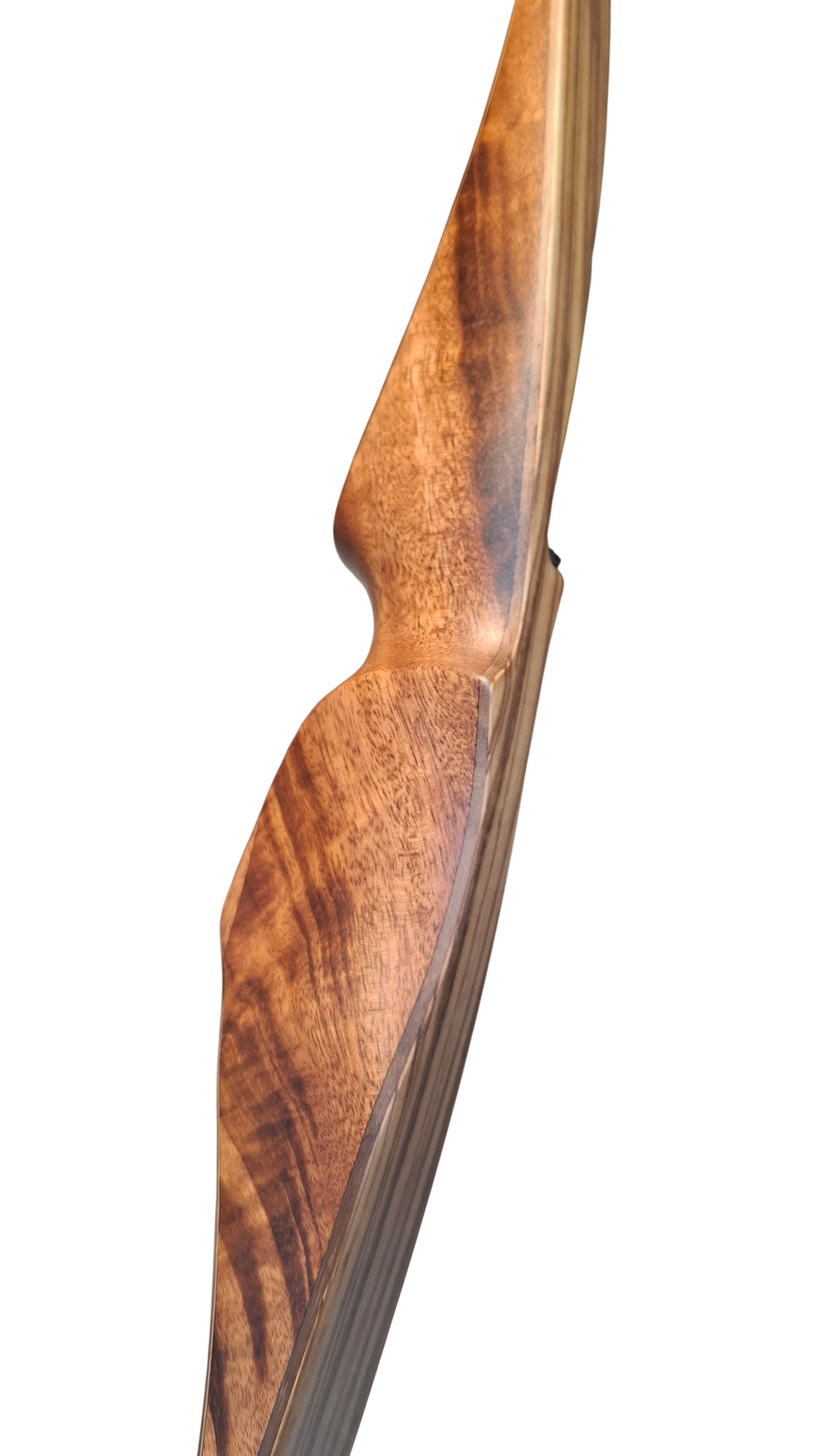 Falco Storm 2 Longbow (Tigerwood w/zebrano)