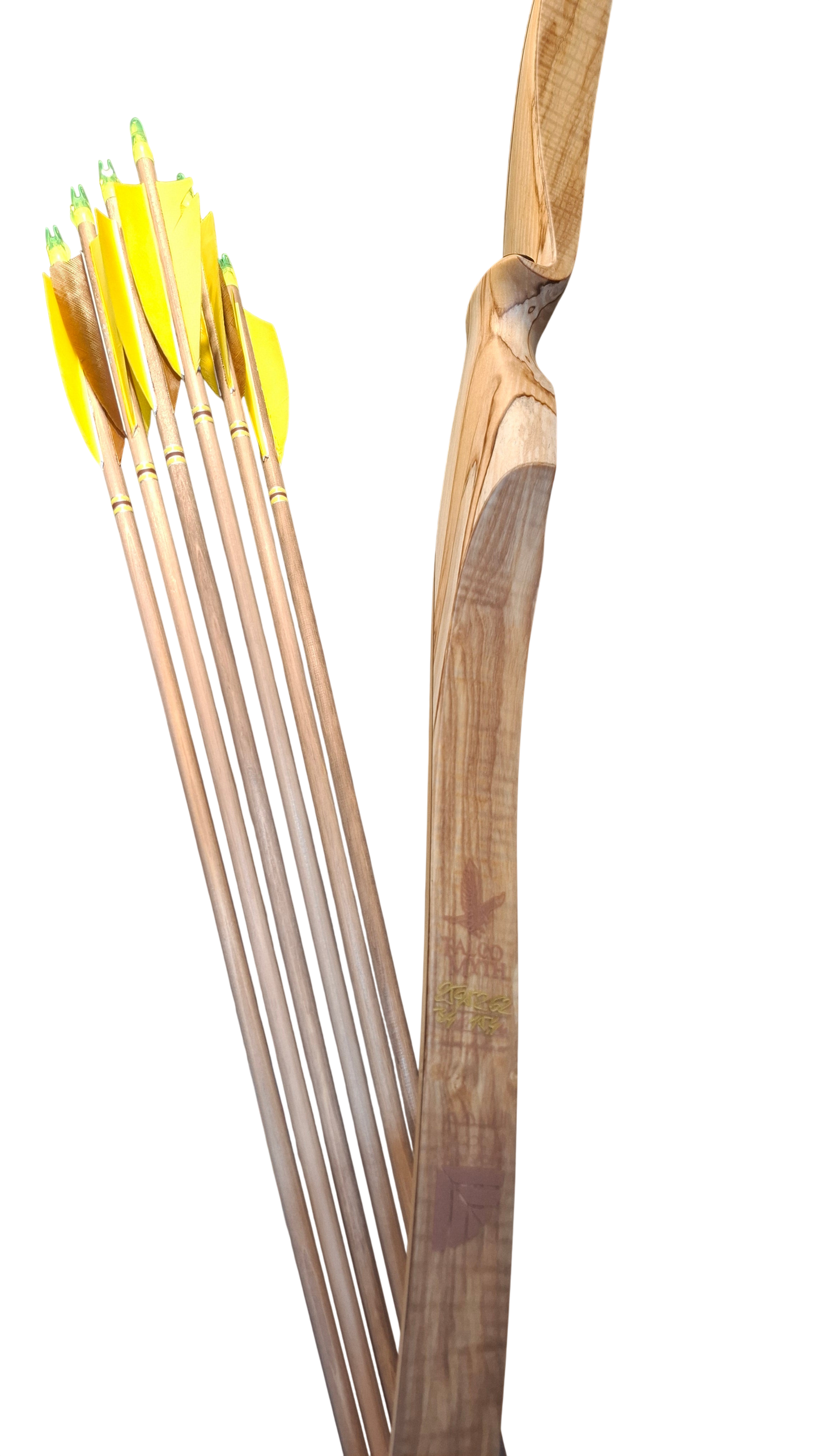 Falco Myth Longbow package (Spalted birch)