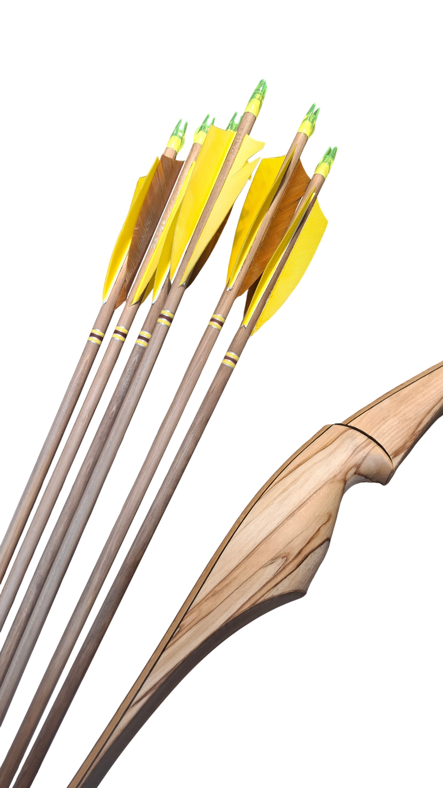 Falco Myth Longbow package (Spalted birch)