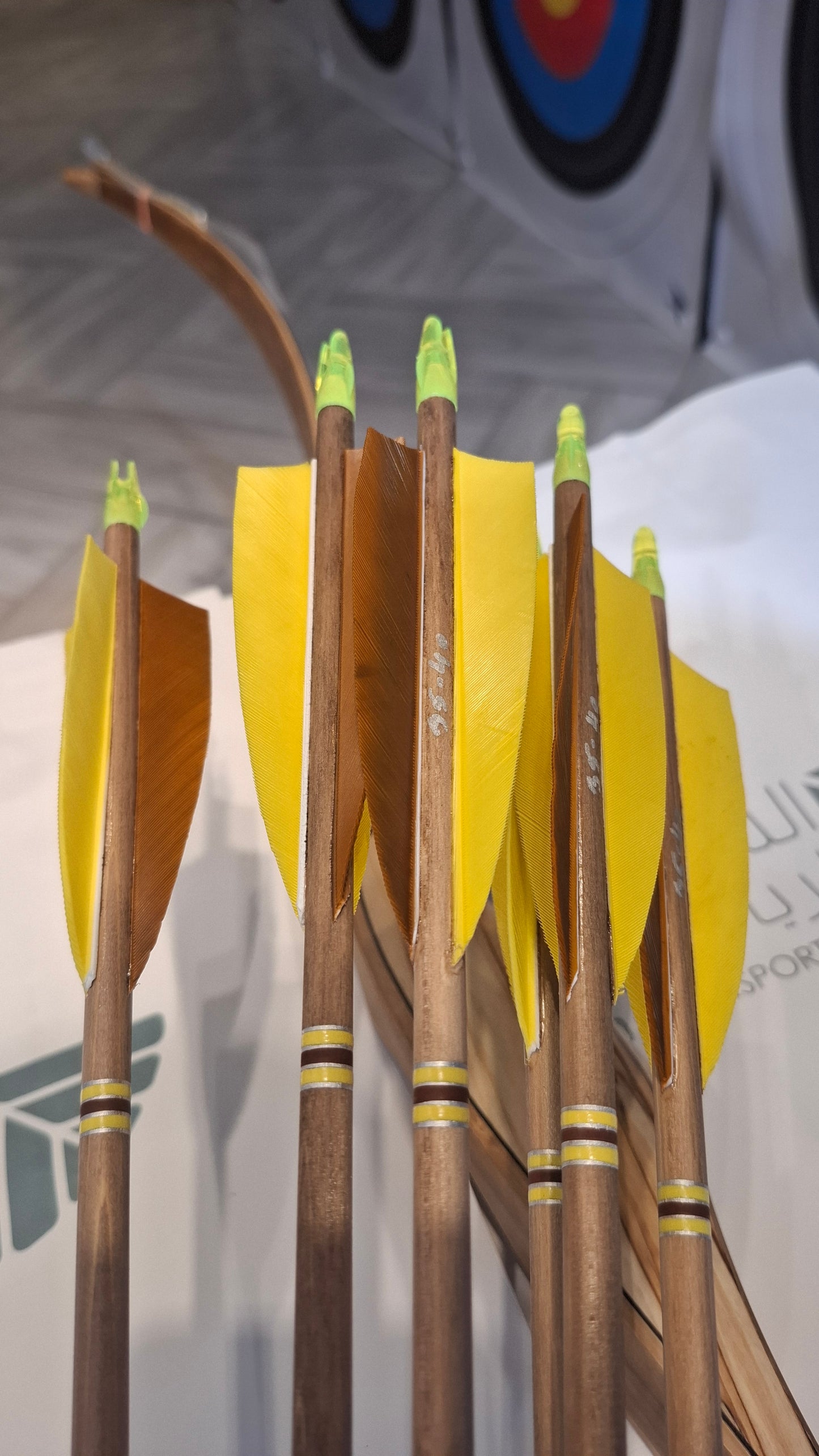 Falco Myth Longbow package (Spalted birch)