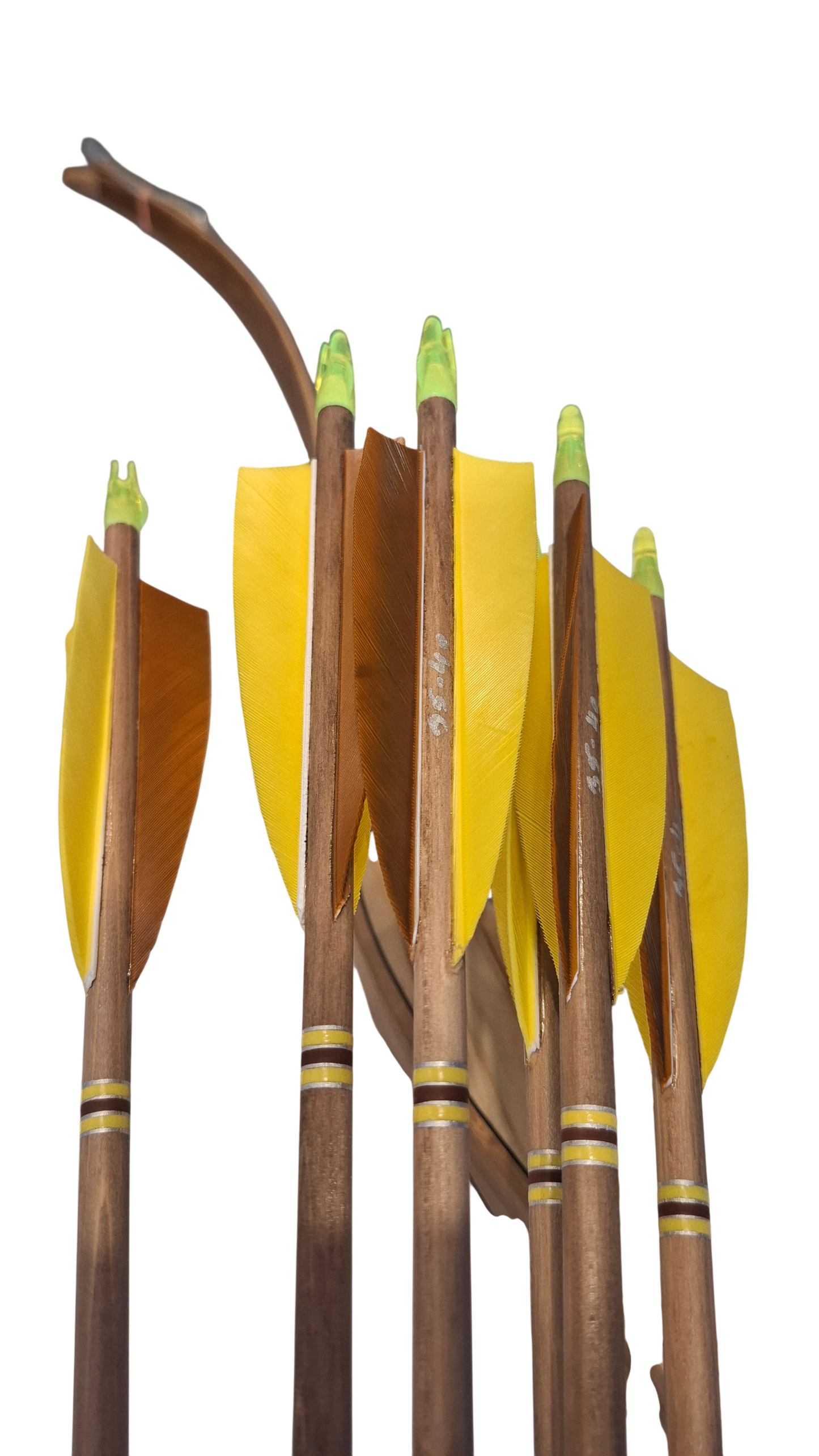 Falco Myth Longbow package (Spalted birch)