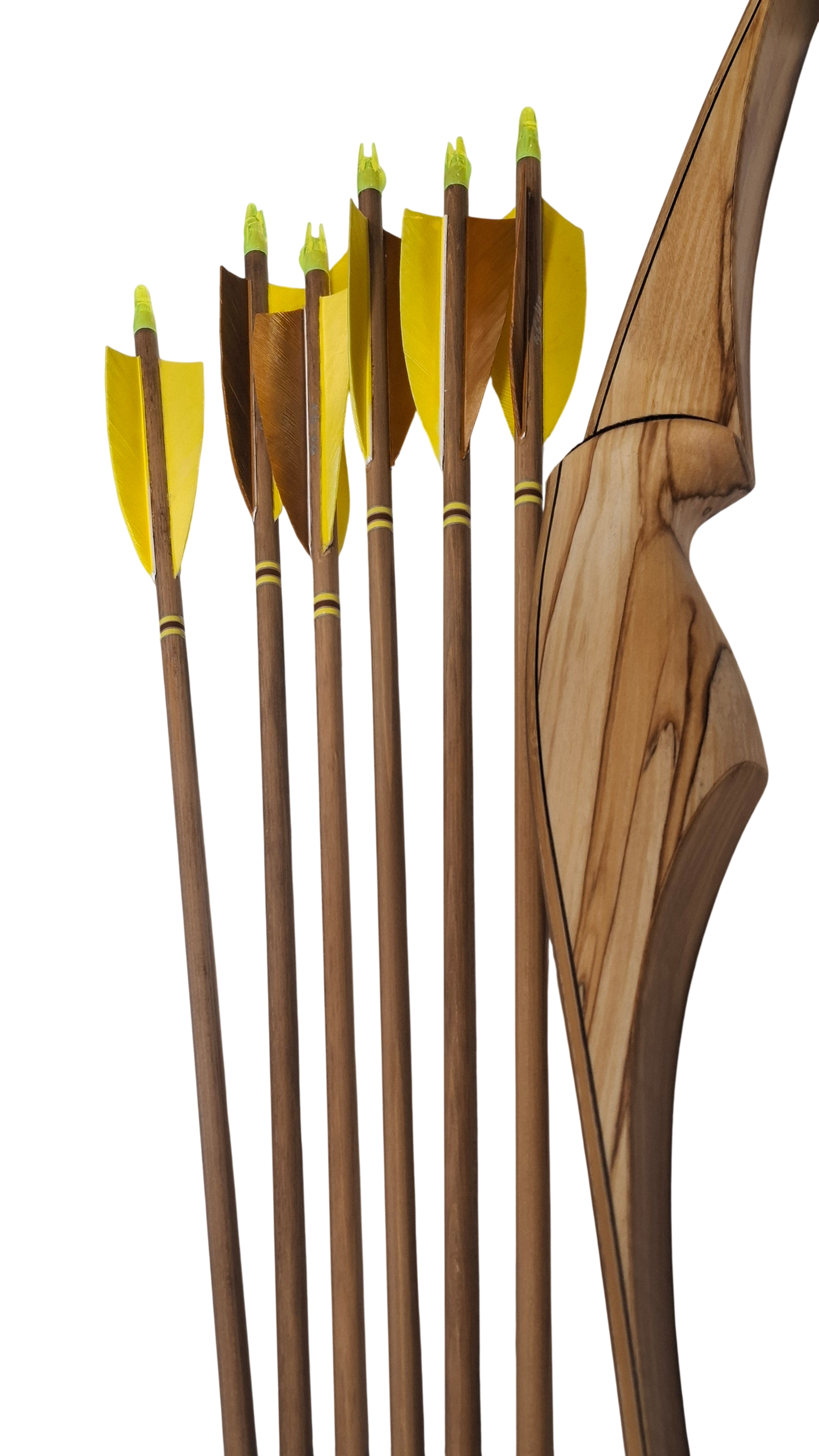 Falco Myth Longbow package (Spalted birch)