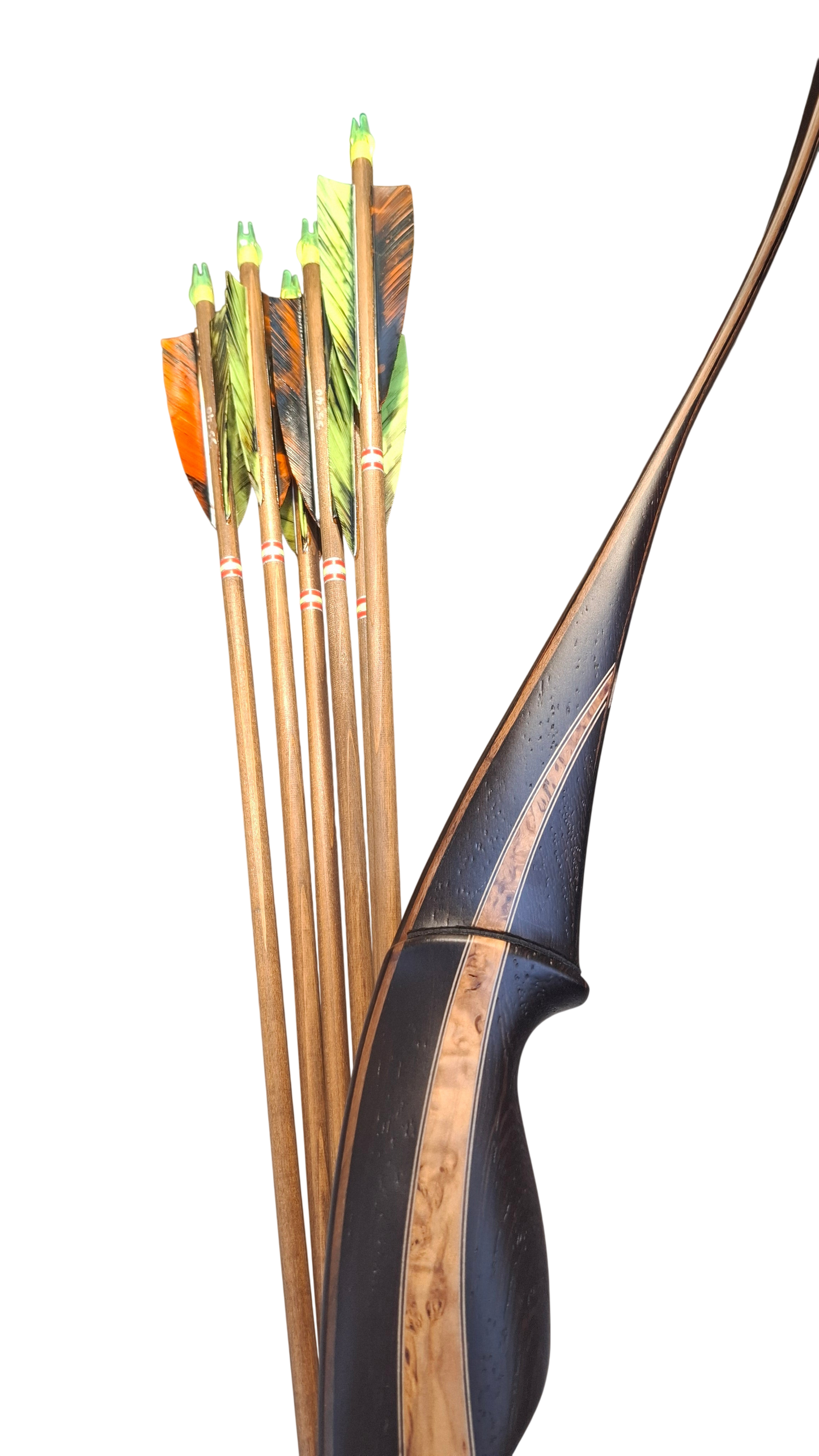 Falco Saga Longbow package
