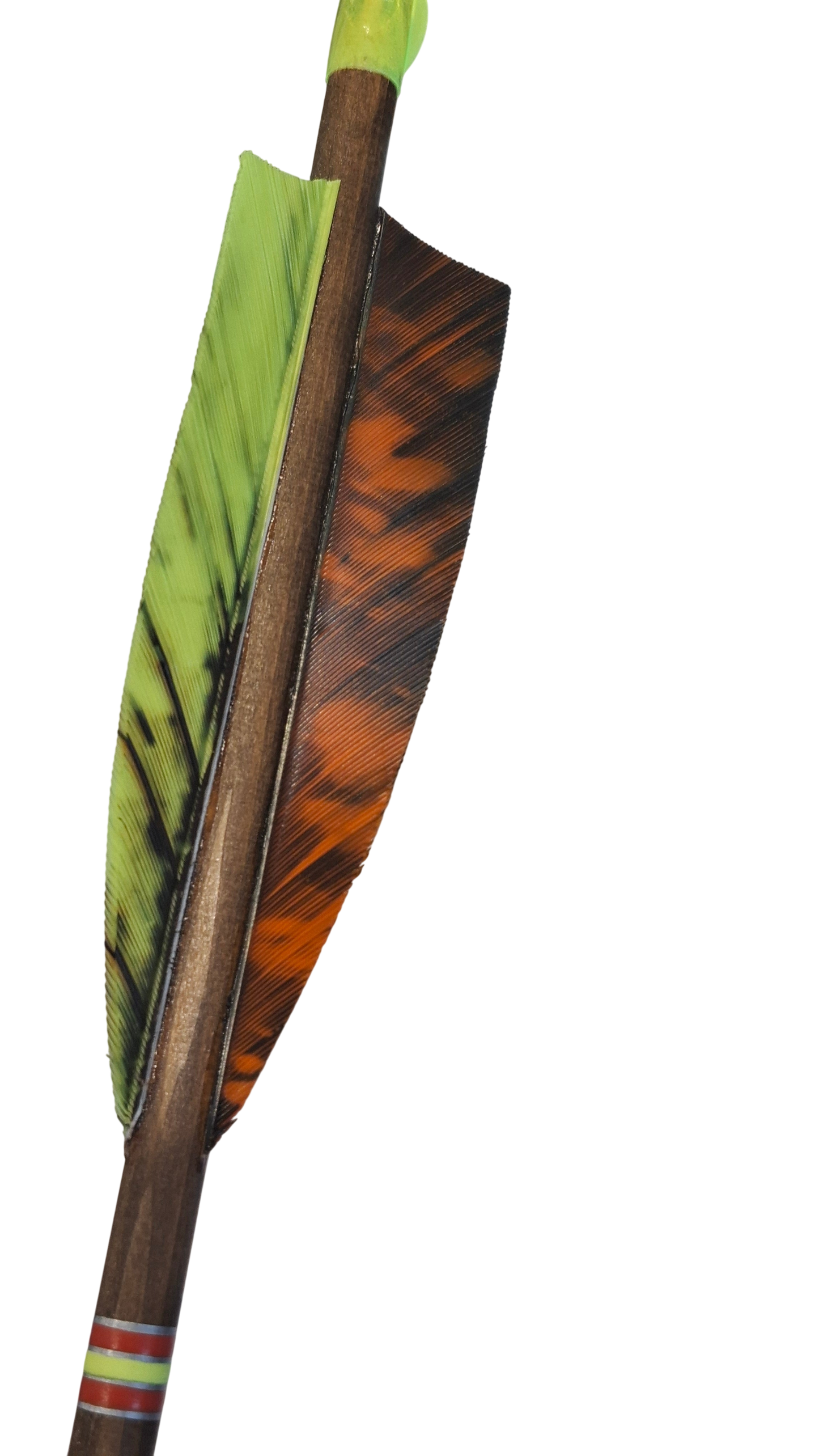 Falco Saga Longbow package