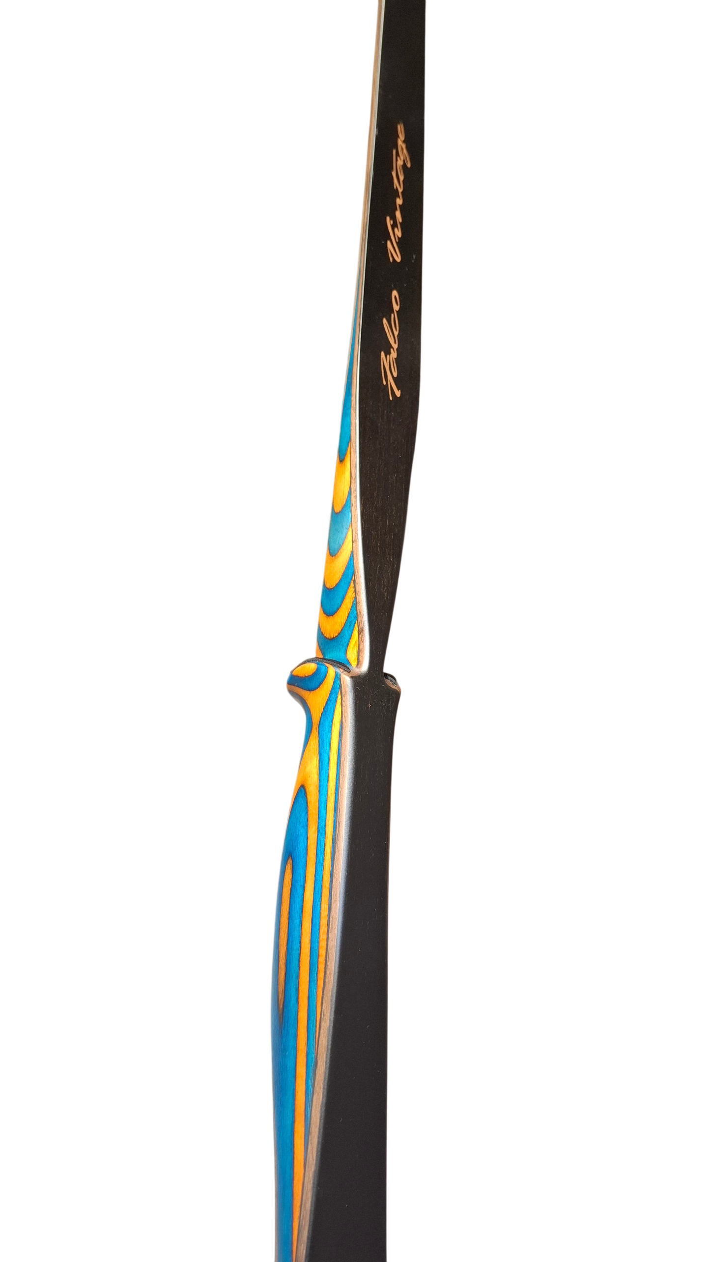 Falco Twin Longbow Colorwood - blue + orange