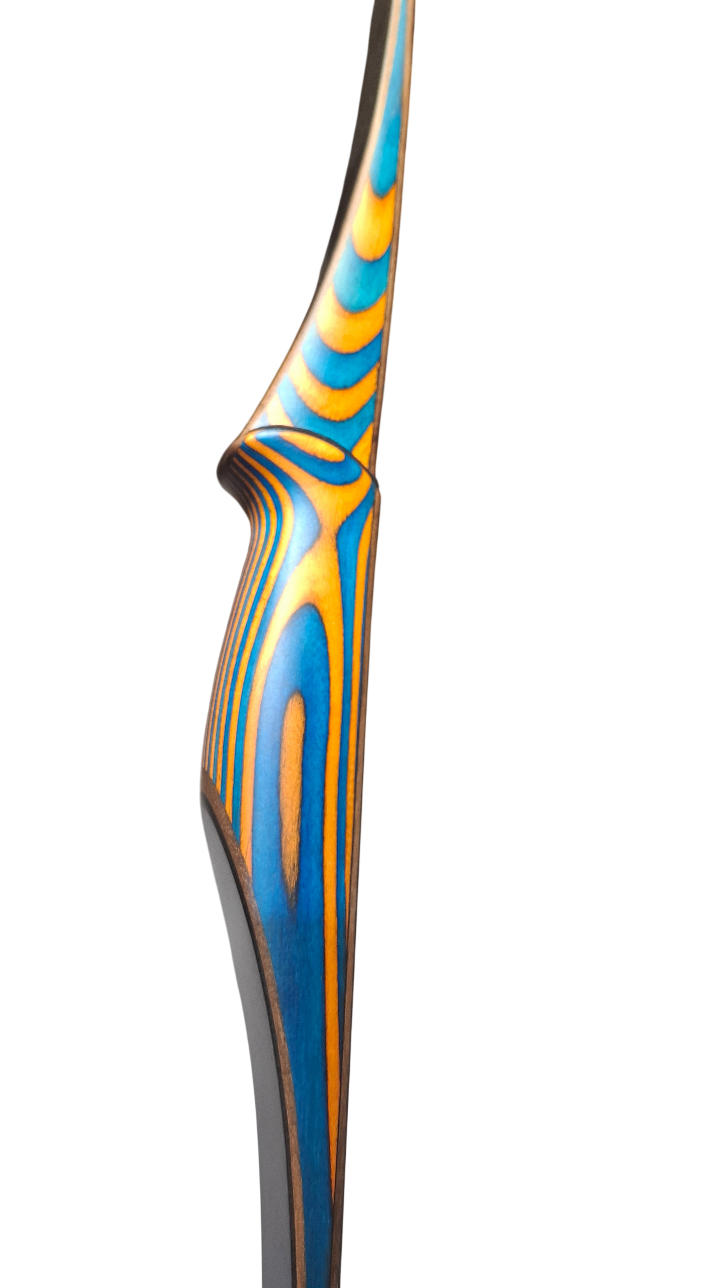 Falco Twin Longbow Colorwood - blue + orange