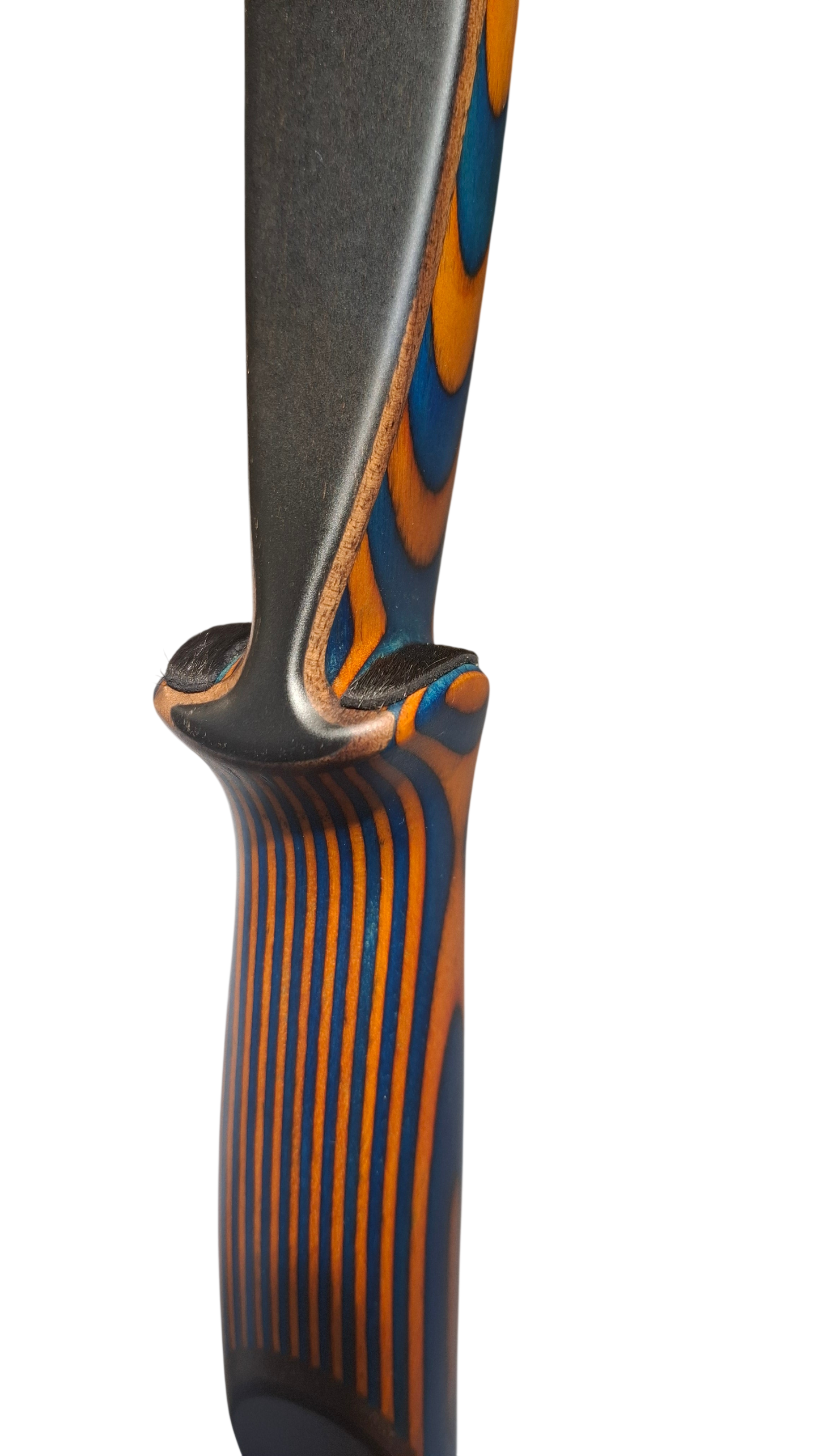 Falco Twin Longbow Colorwood - blue + orange