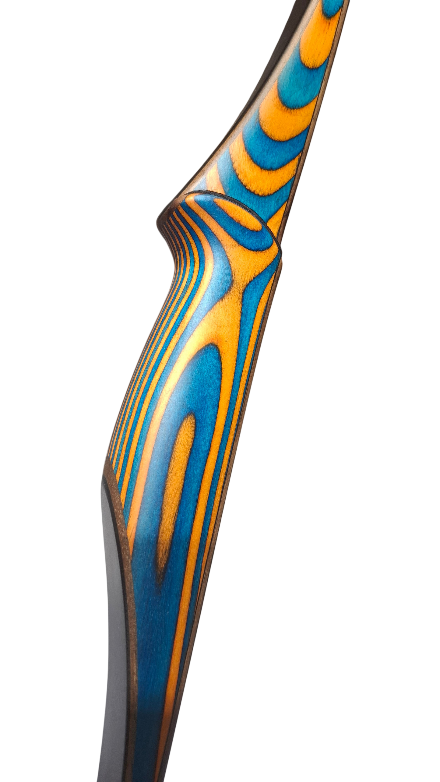 Falco Twin Longbow Colorwood - blue + orange