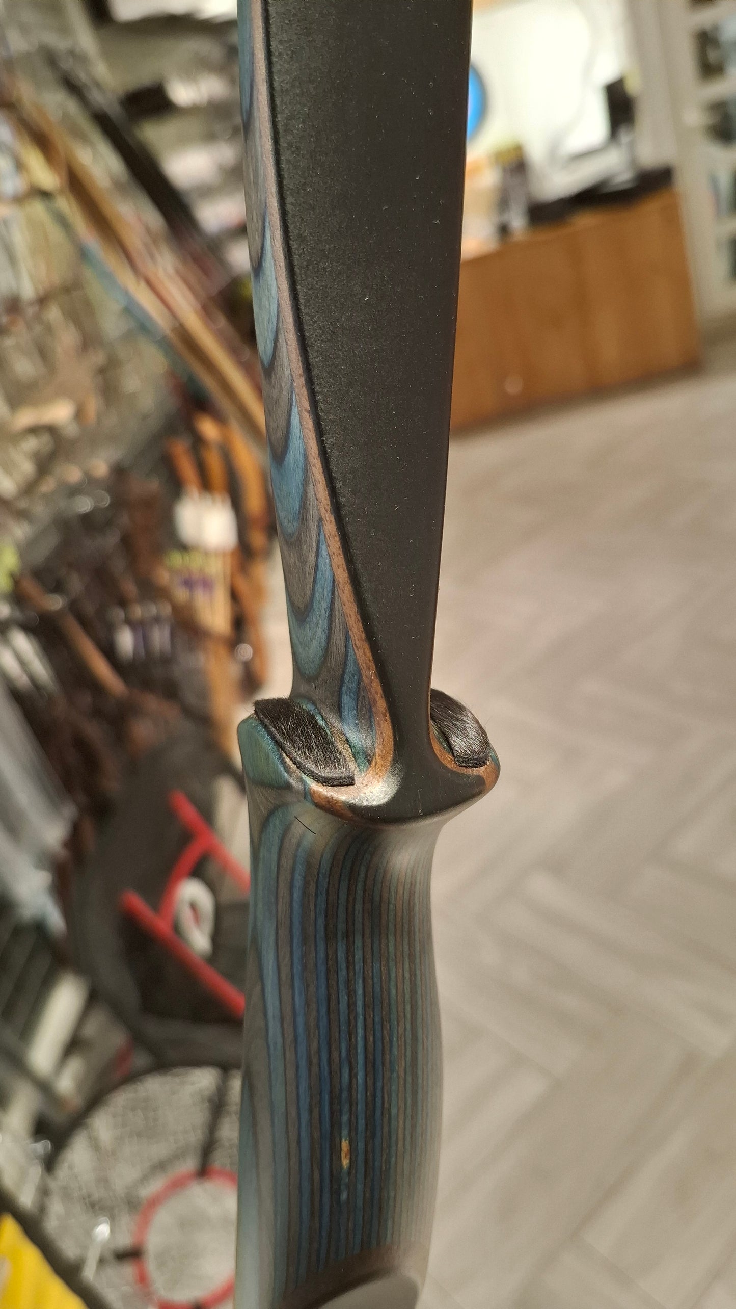 Falco Twin Longbow Colorwood - blue + orange