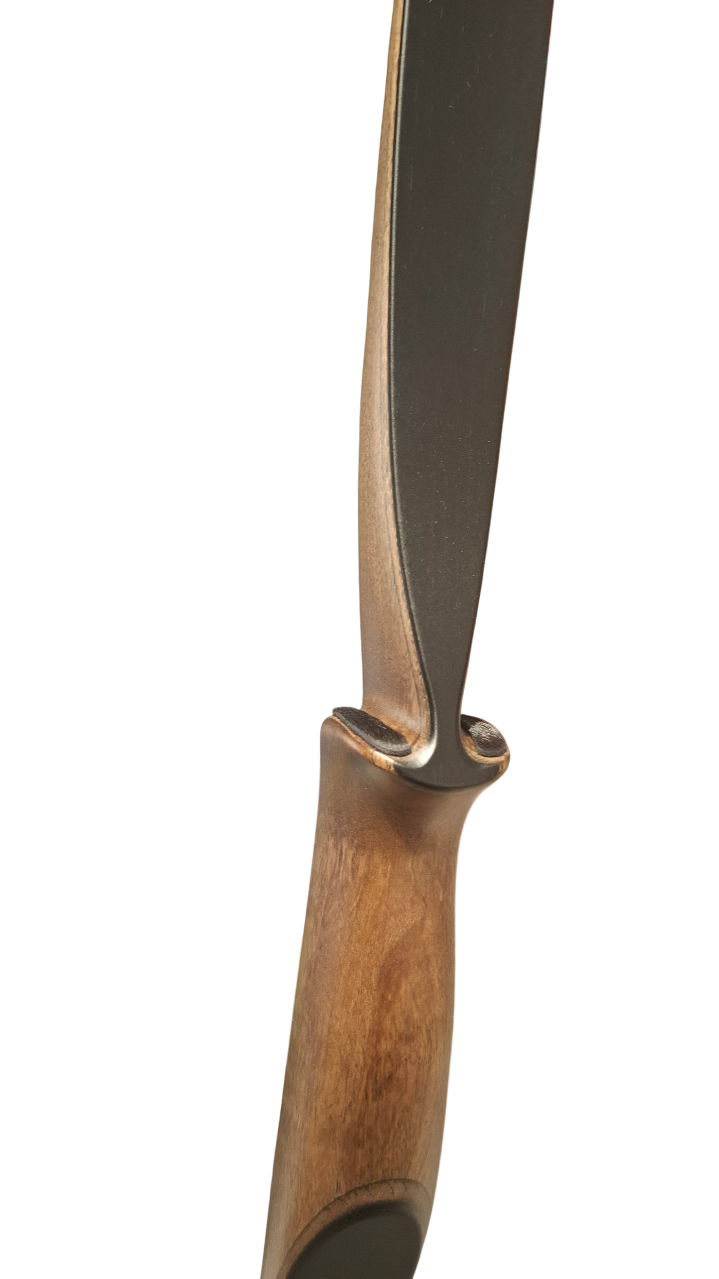 Falco Twin Longbow - Copper stain