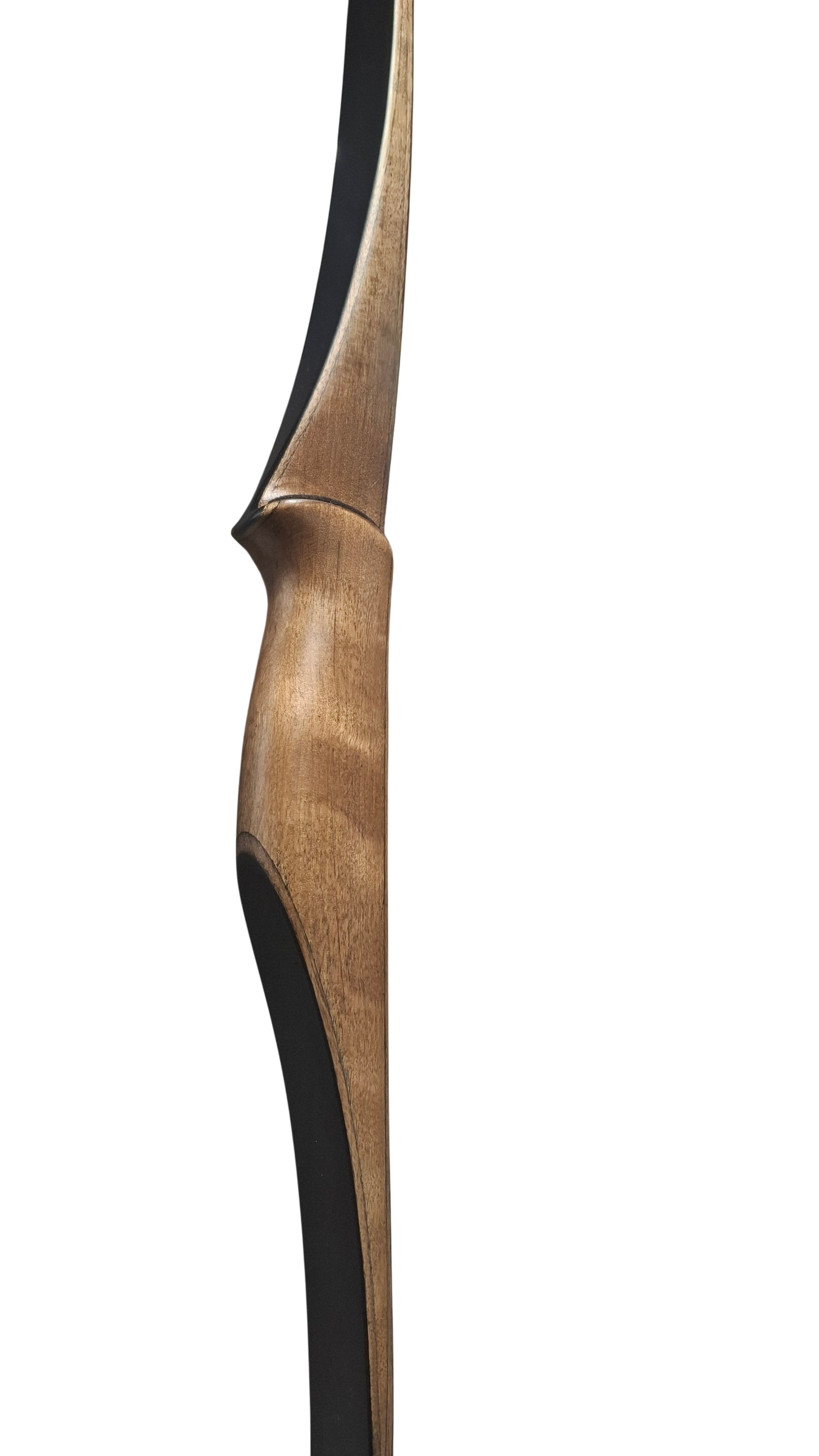 Falco Twin Longbow - Copper stain