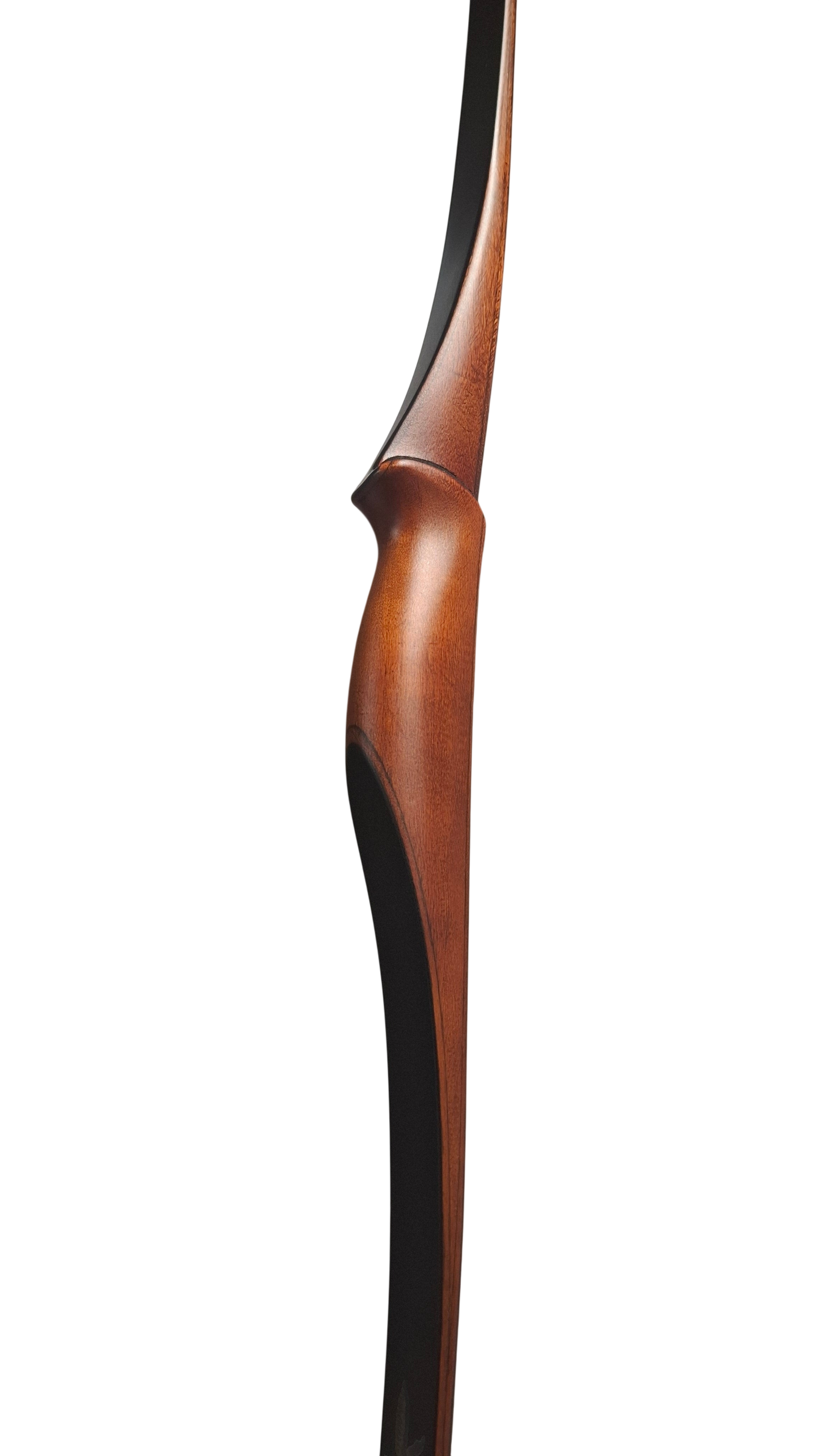 Falco Twin Longbow - Palisander stain