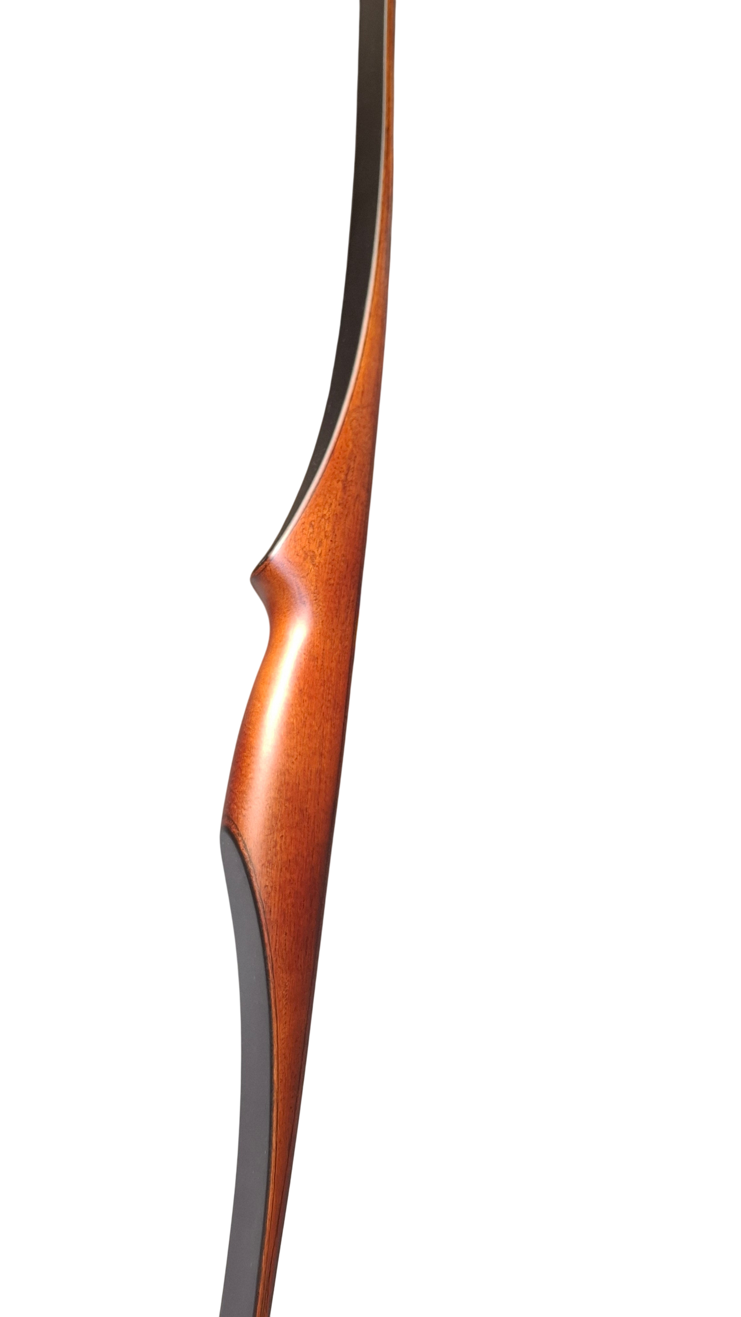 Falco Robin - Palisander stain