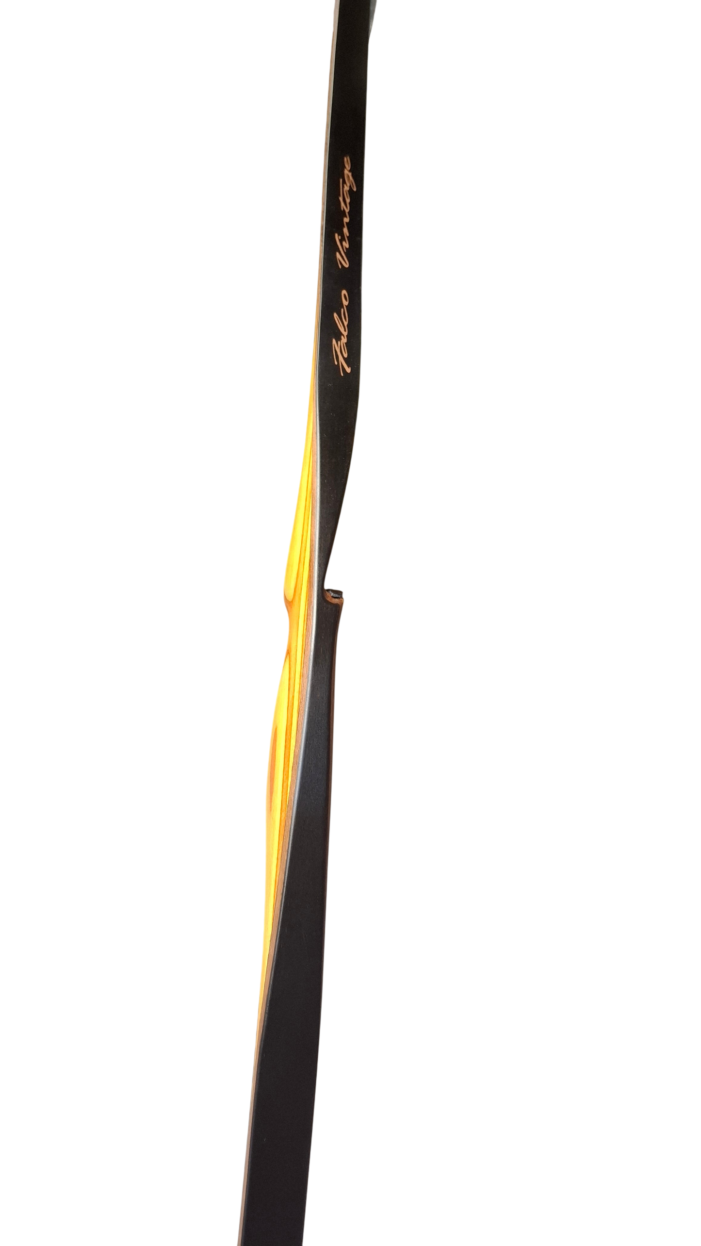 Falco Robin - Colorwood Yellow + Orange