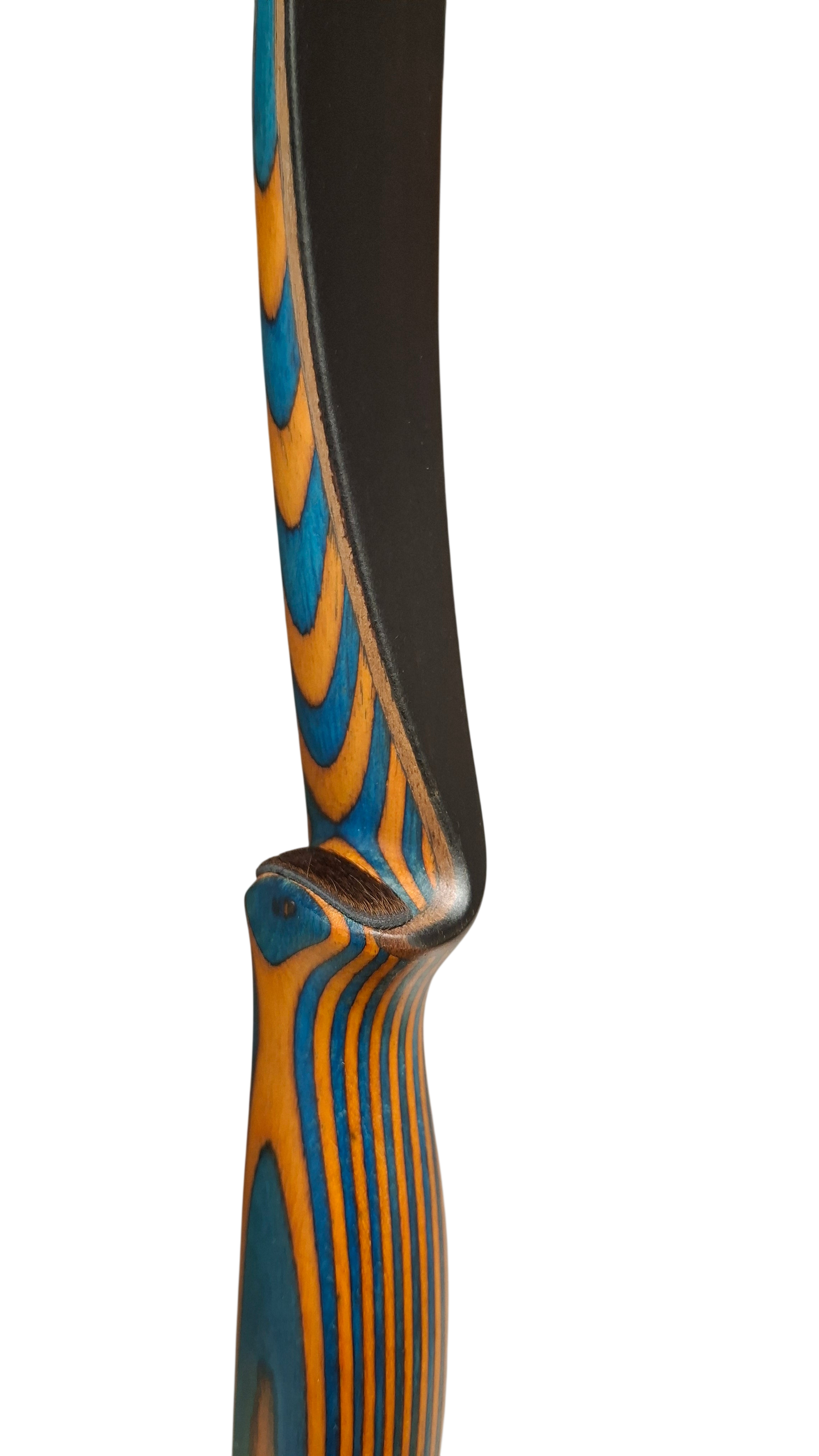 Falco Robin - Colorwood Blue + Orange