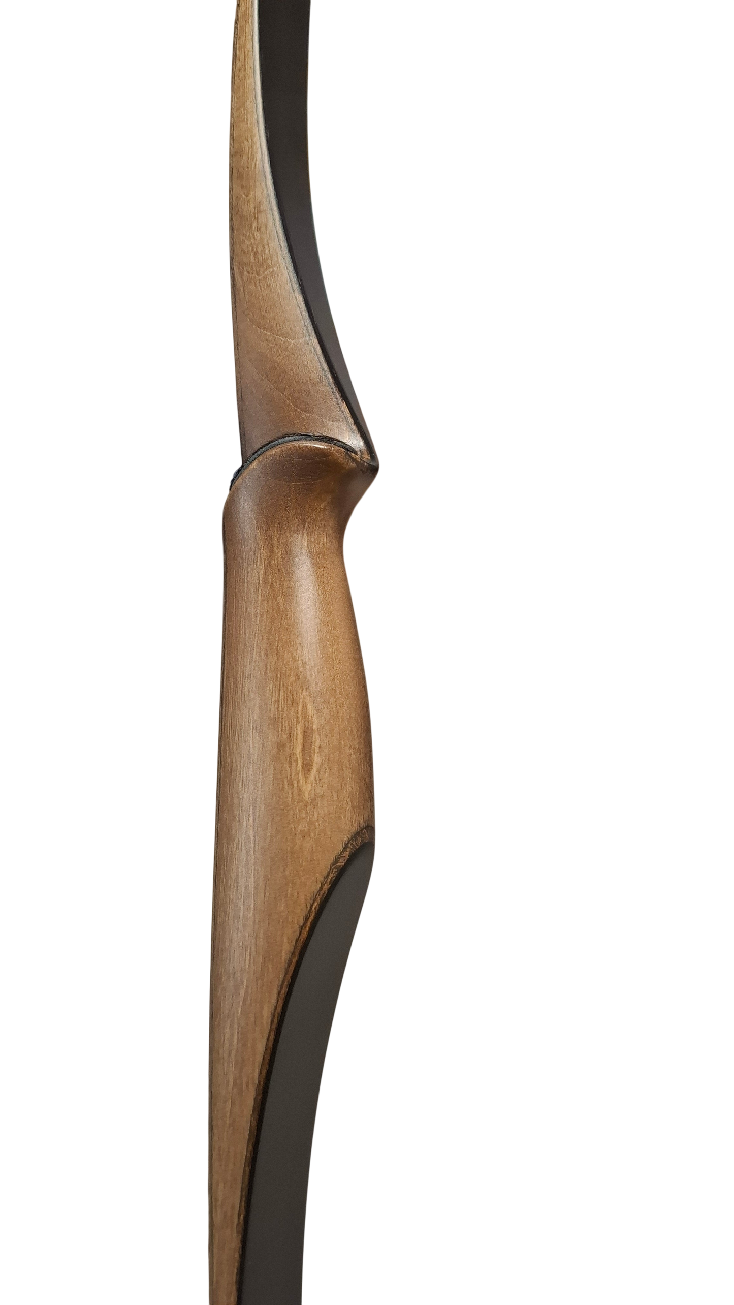 Falco Robin - Copper stain