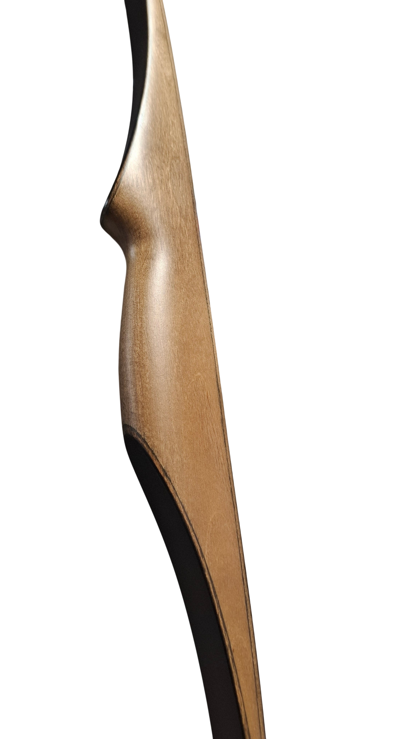 Falco Robin - Copper stain