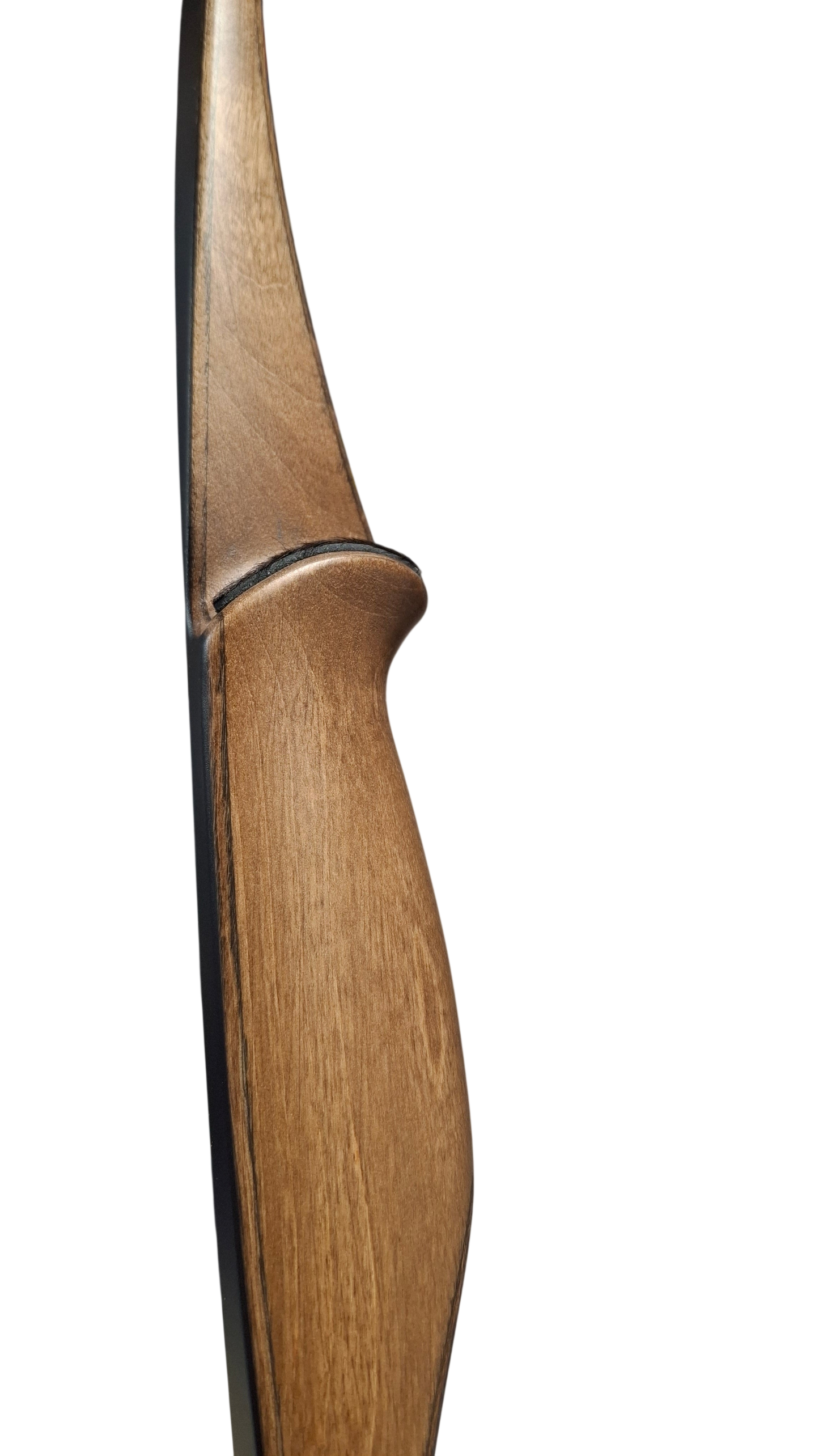Falco Robin - Copper stain