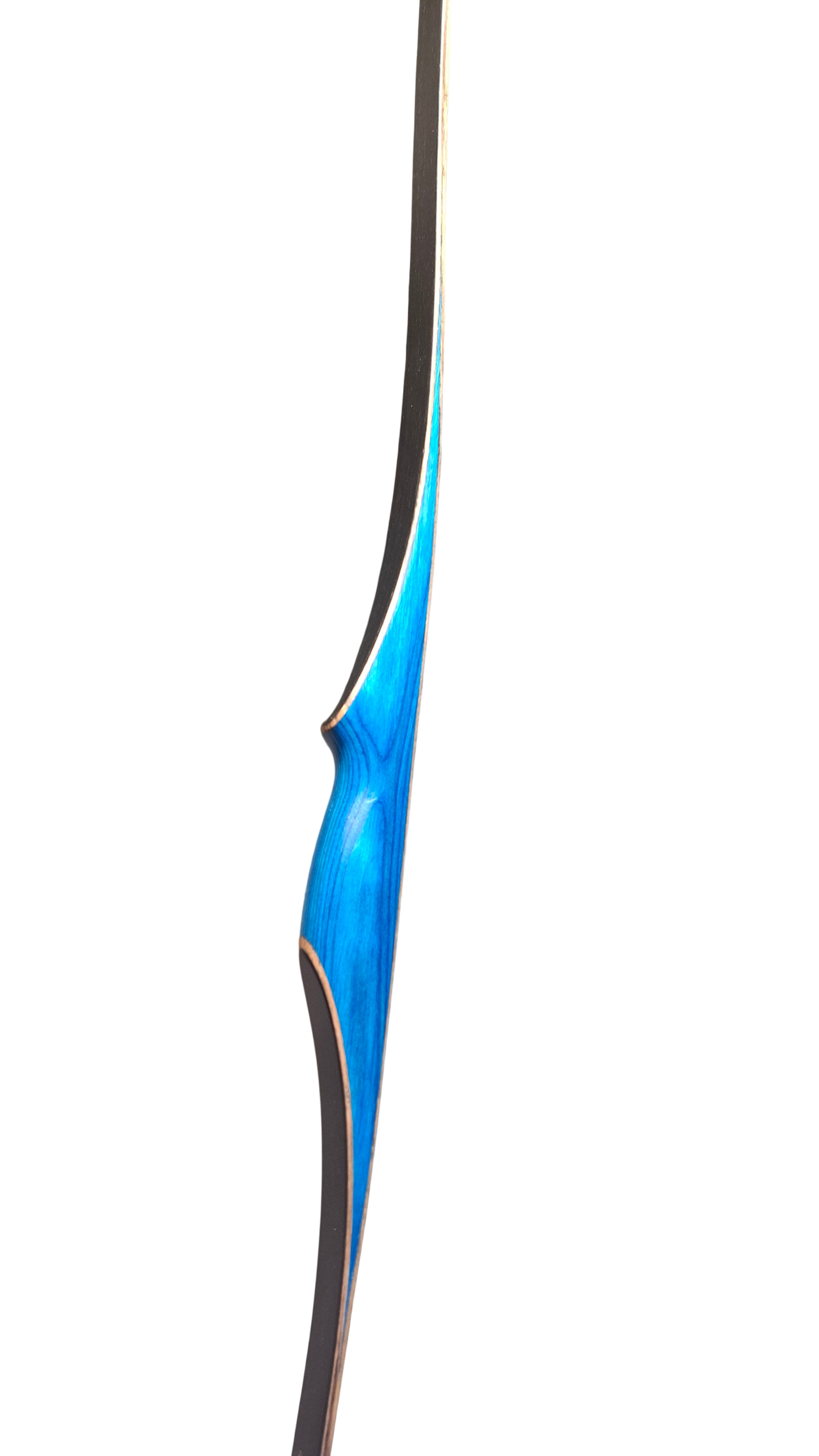 Falco Robin - Colorwood Blue