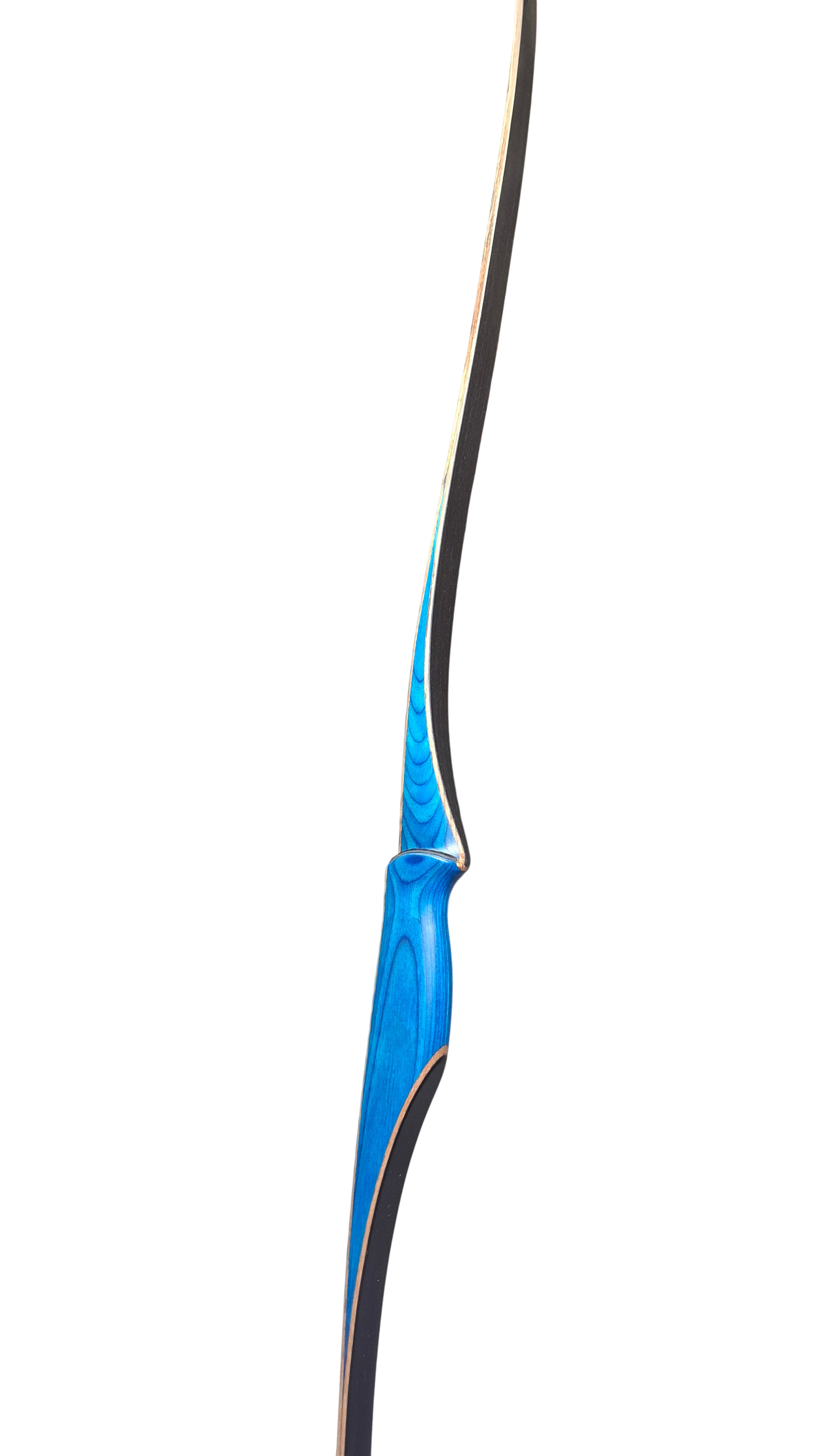 Falco Robin - Colorwood Blue