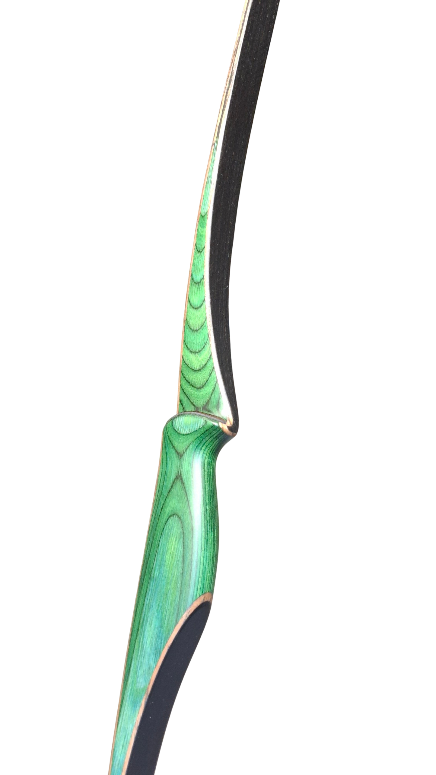 Falco Robin - Colorwood Green