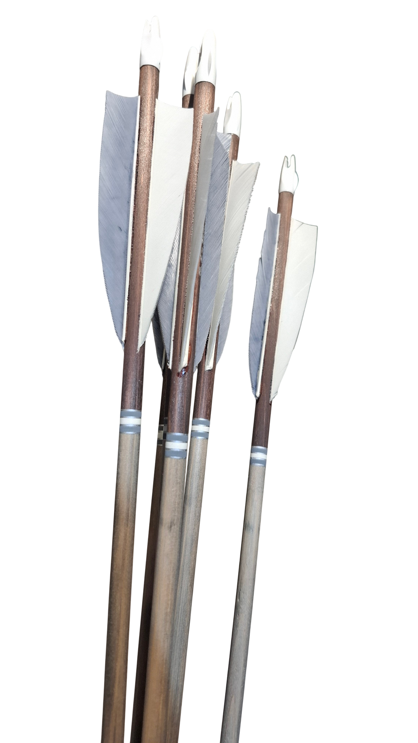 Falco Myth Longbow package (Palisander + Birch)