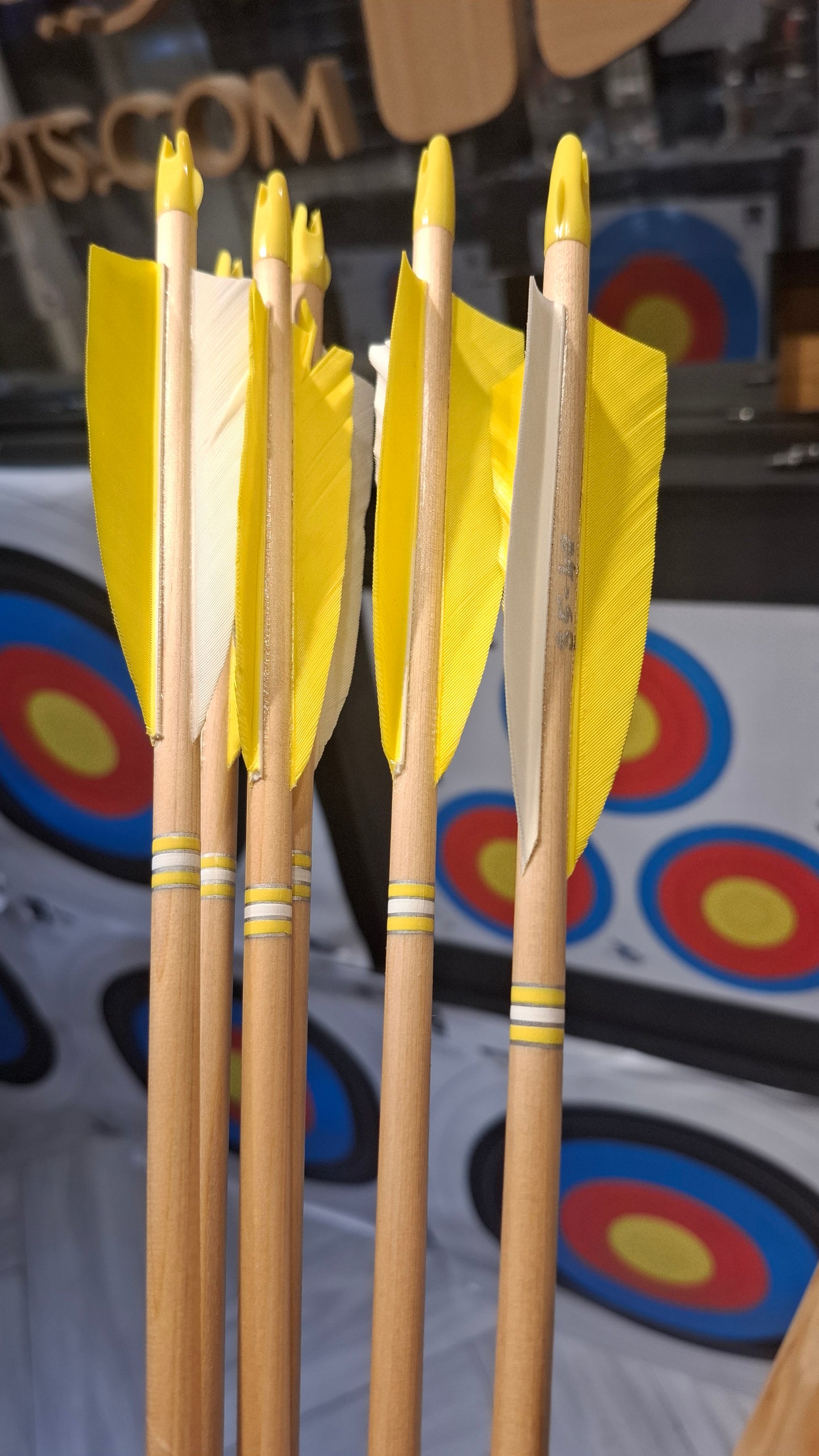 Falco Myth Longbow package Curly Birch