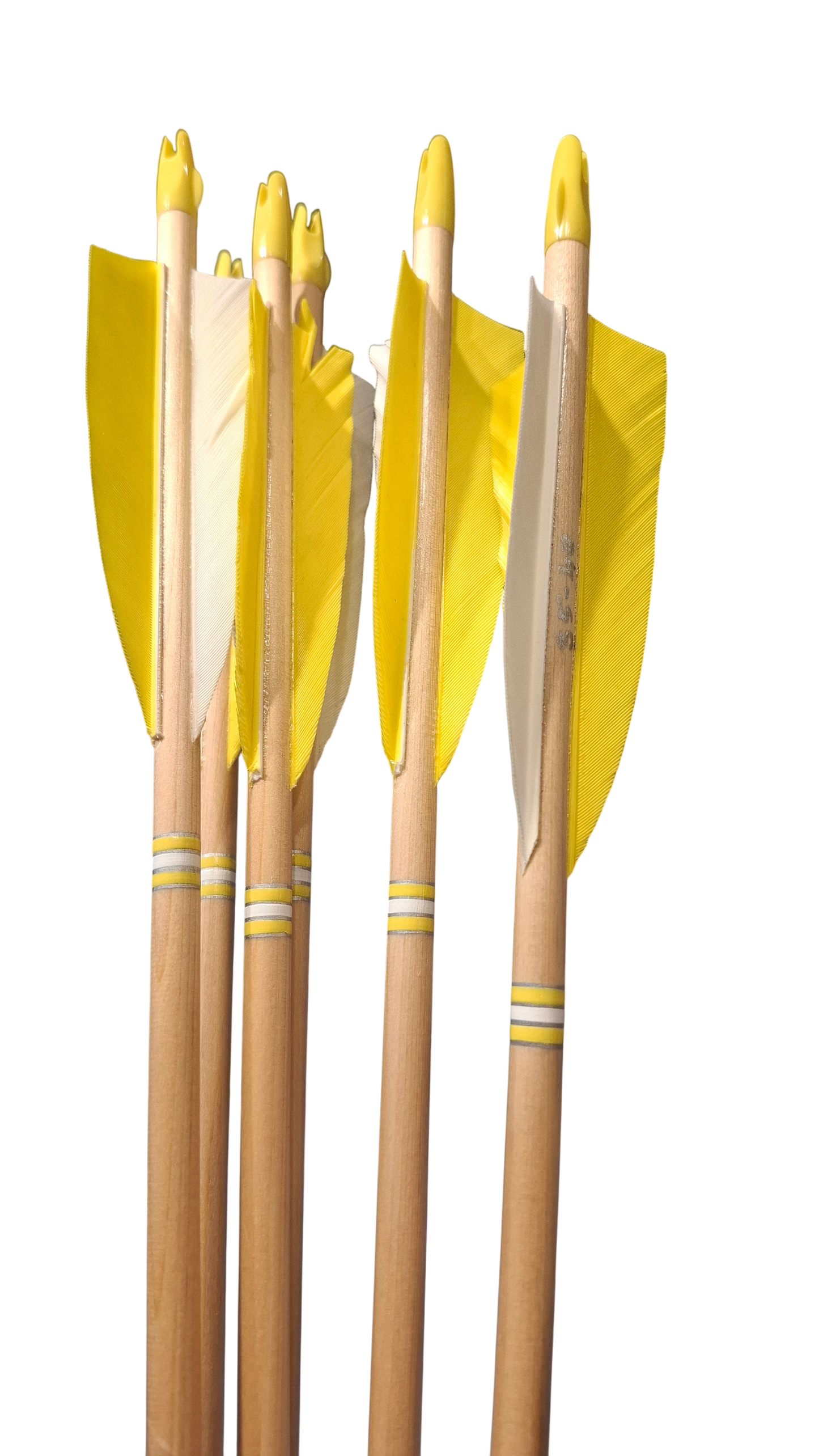 Falco Myth Longbow package Curly Birch