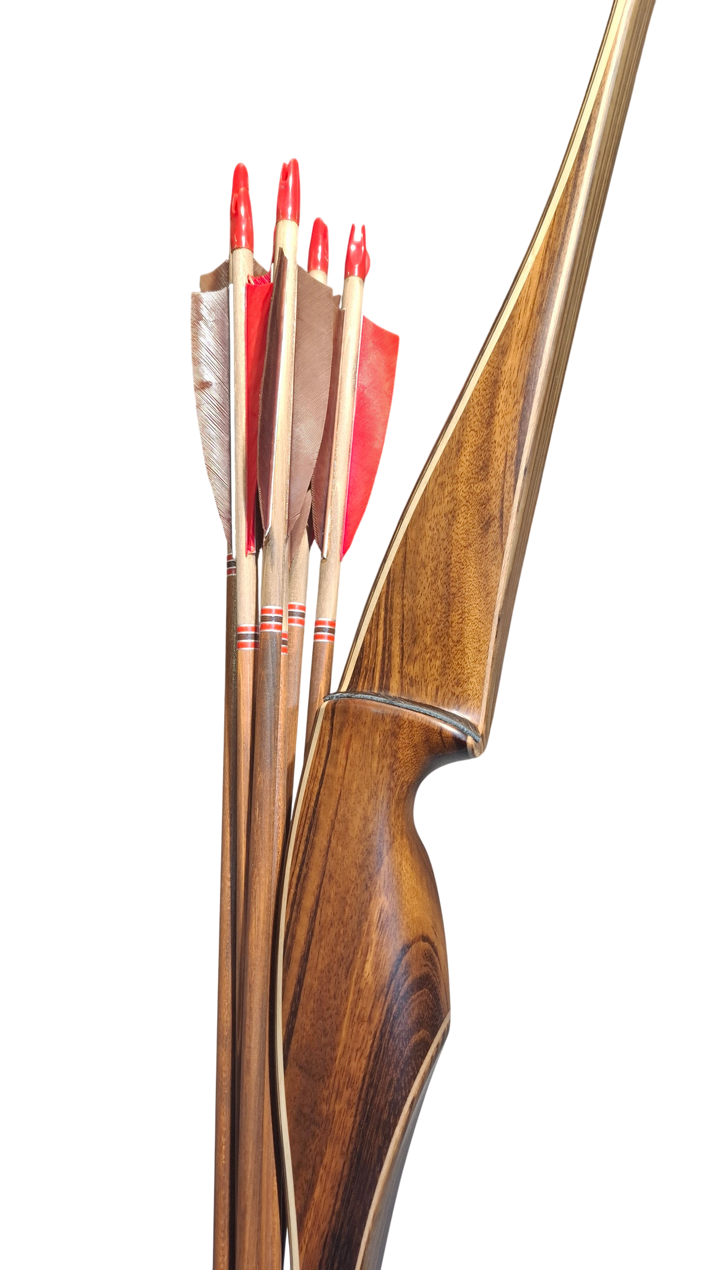Falco Force Longbow package - Tigerwood + Zebrano wood