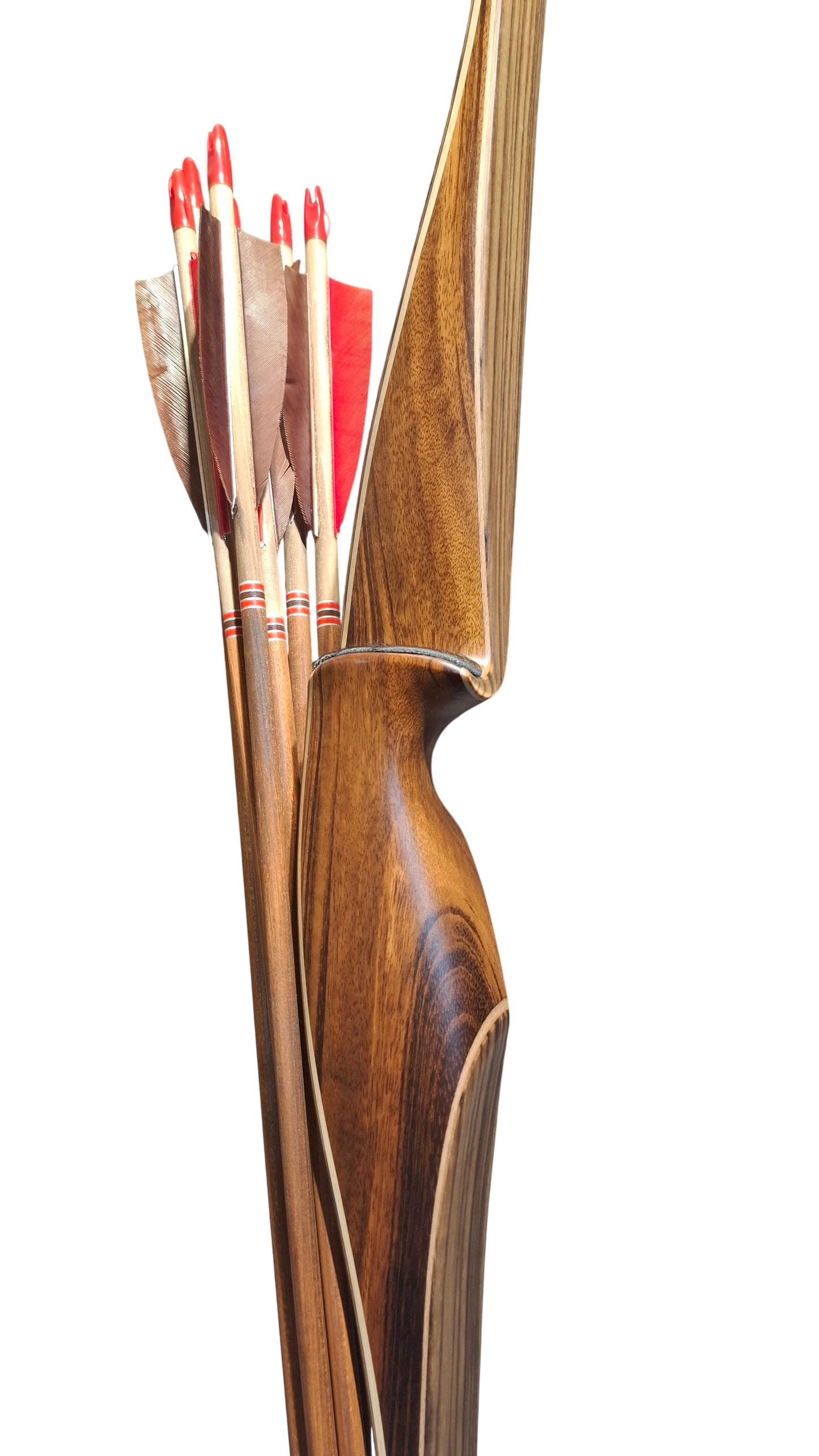 Falco Force Longbow package - Tigerwood + Zebrano wood