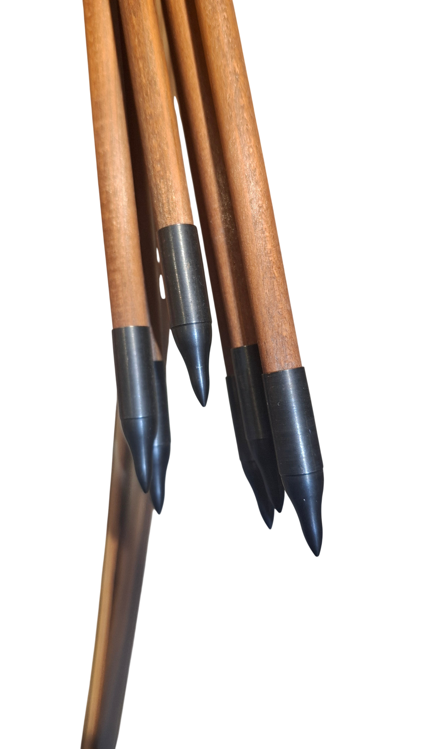 Falco Force Longbow package - Tigerwood + Zebrano wood