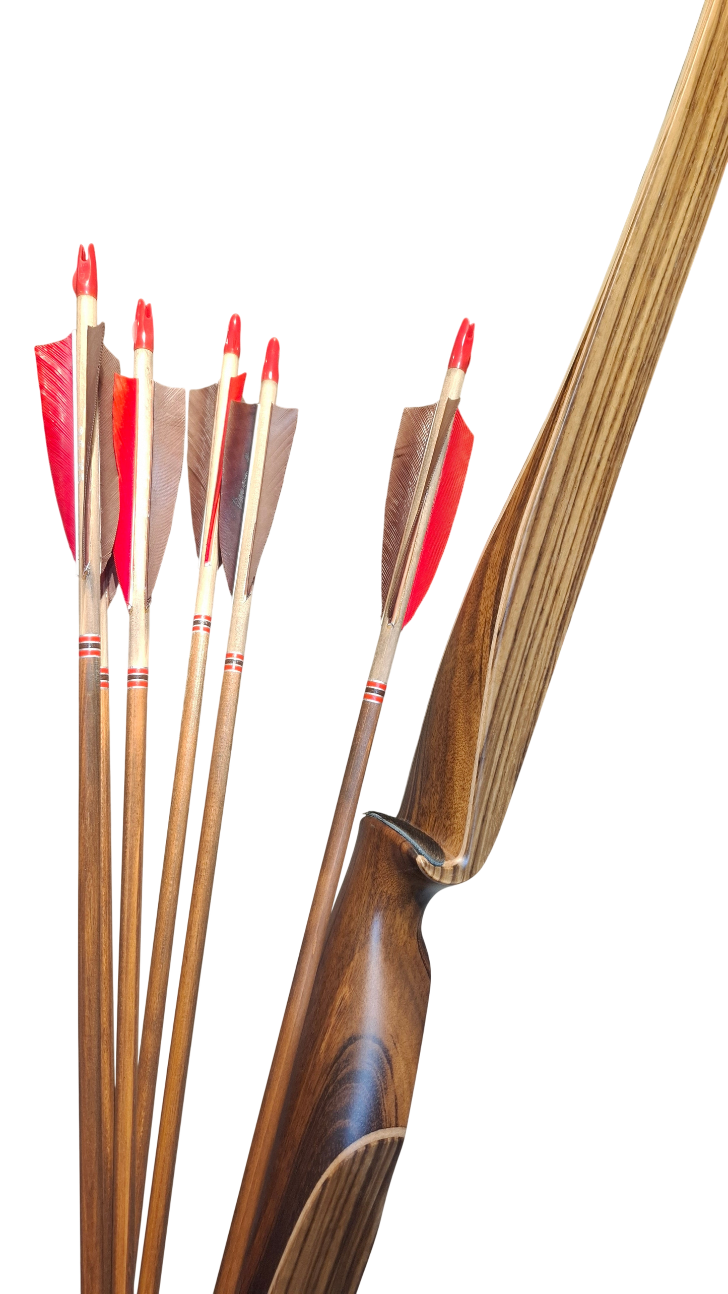 Falco Force Longbow package - Tigerwood + Zebrano wood