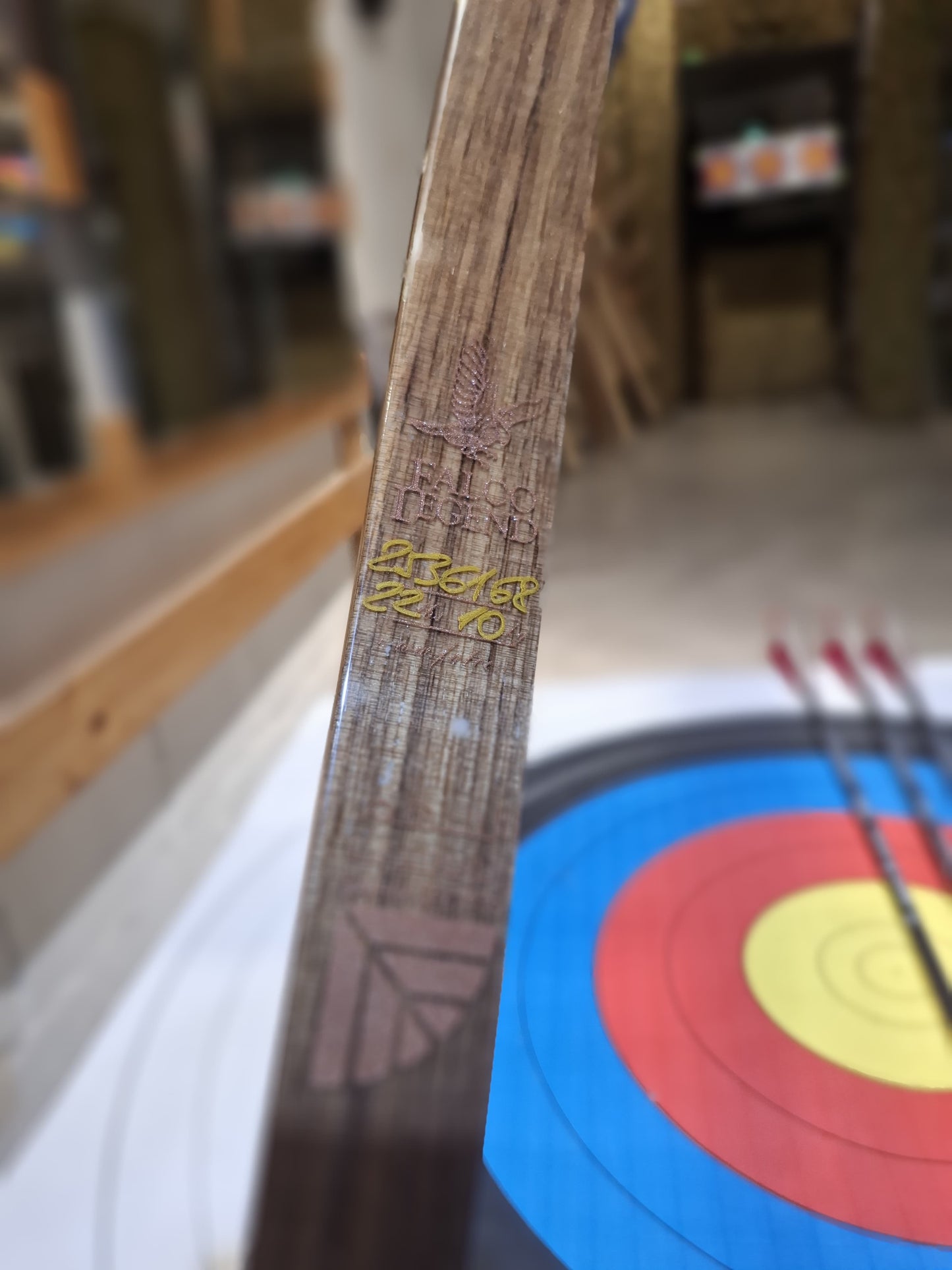 Falco Legend longbow - Exotic gloss