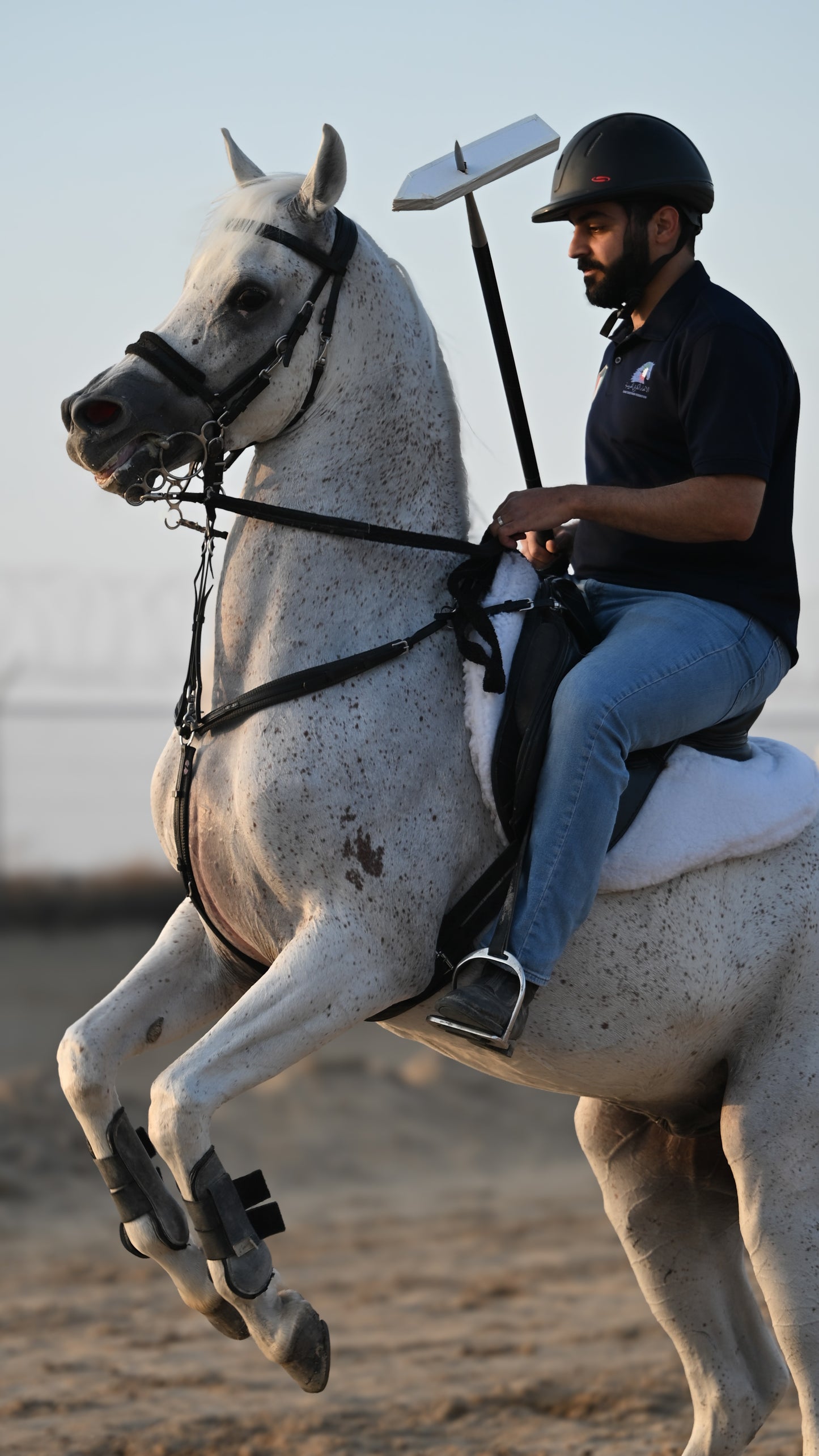 Carbon Fiber Lance رمح التقاط الأوتاد