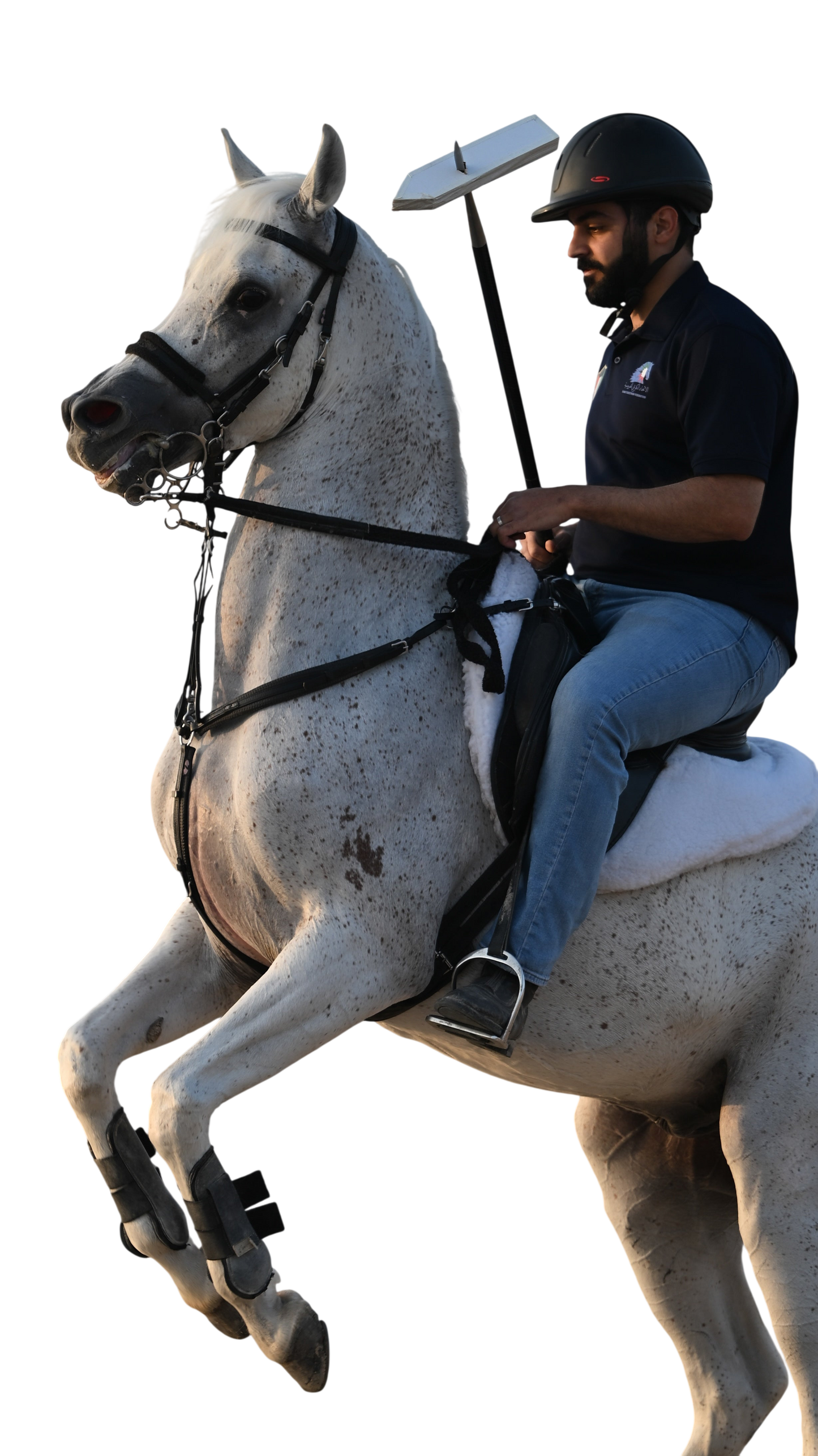 Carbon Fiber Lance رمح التقاط الأوتاد