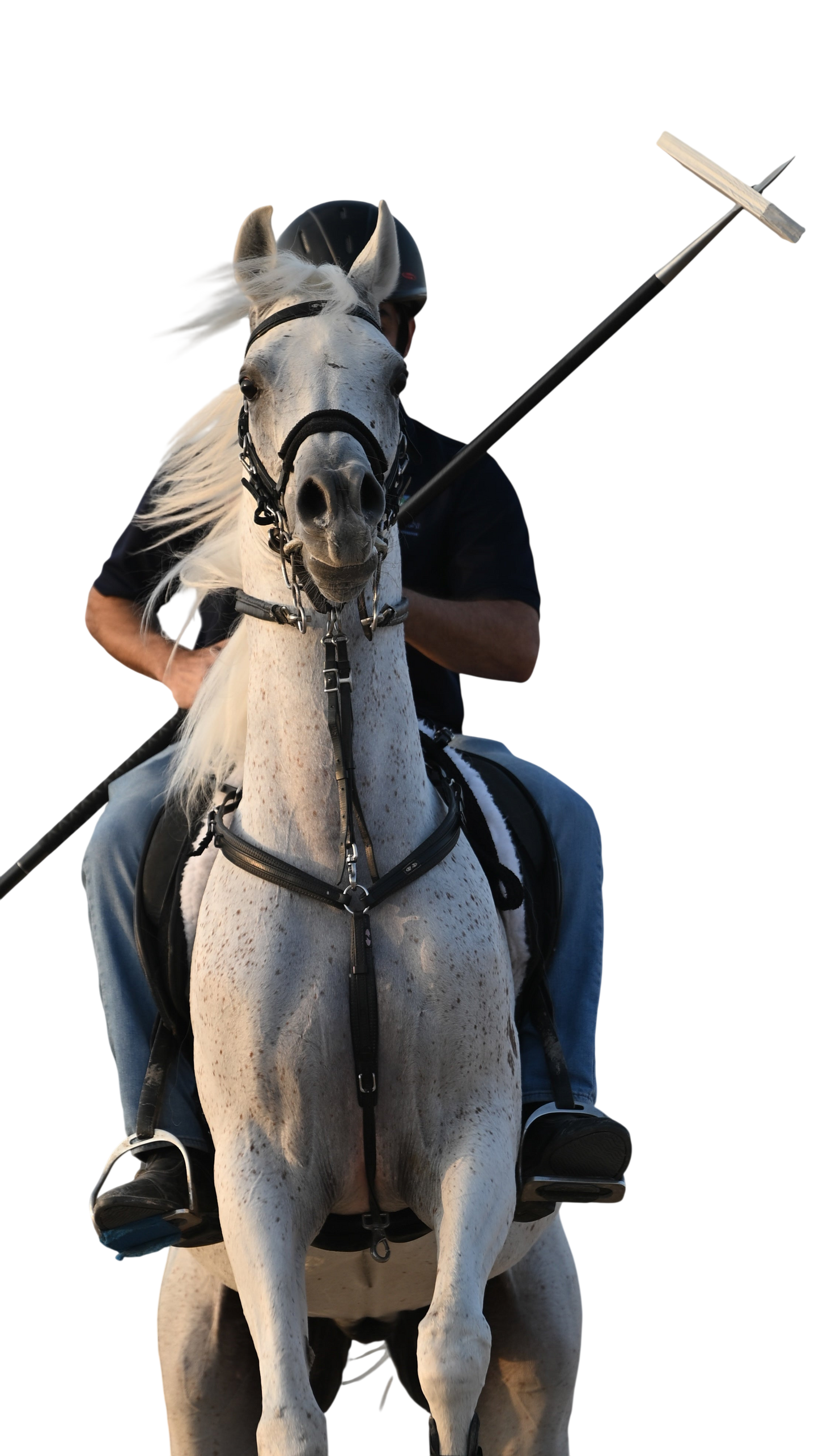Carbon Fiber Lance رمح التقاط الأوتاد