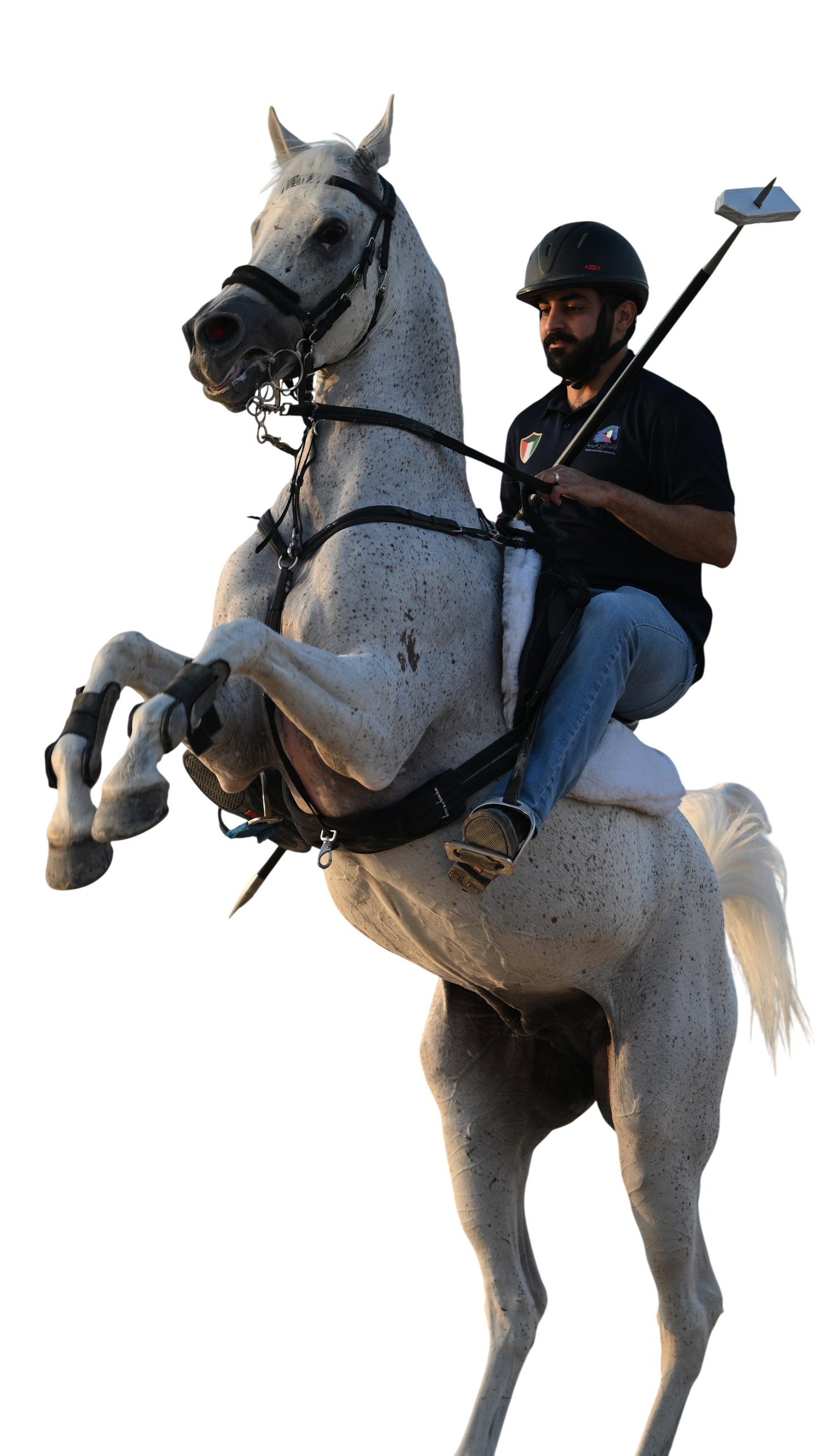 Carbon Fiber Lance رمح التقاط الأوتاد
