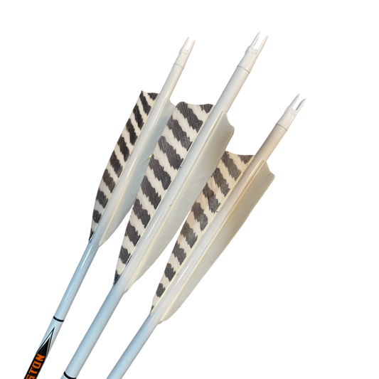ARROWS CARBON LEGACY 4" FEATHER 700 (One Piece)