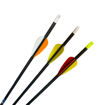 ARROWS CARBON HYBRID 800 30" (One Piece)